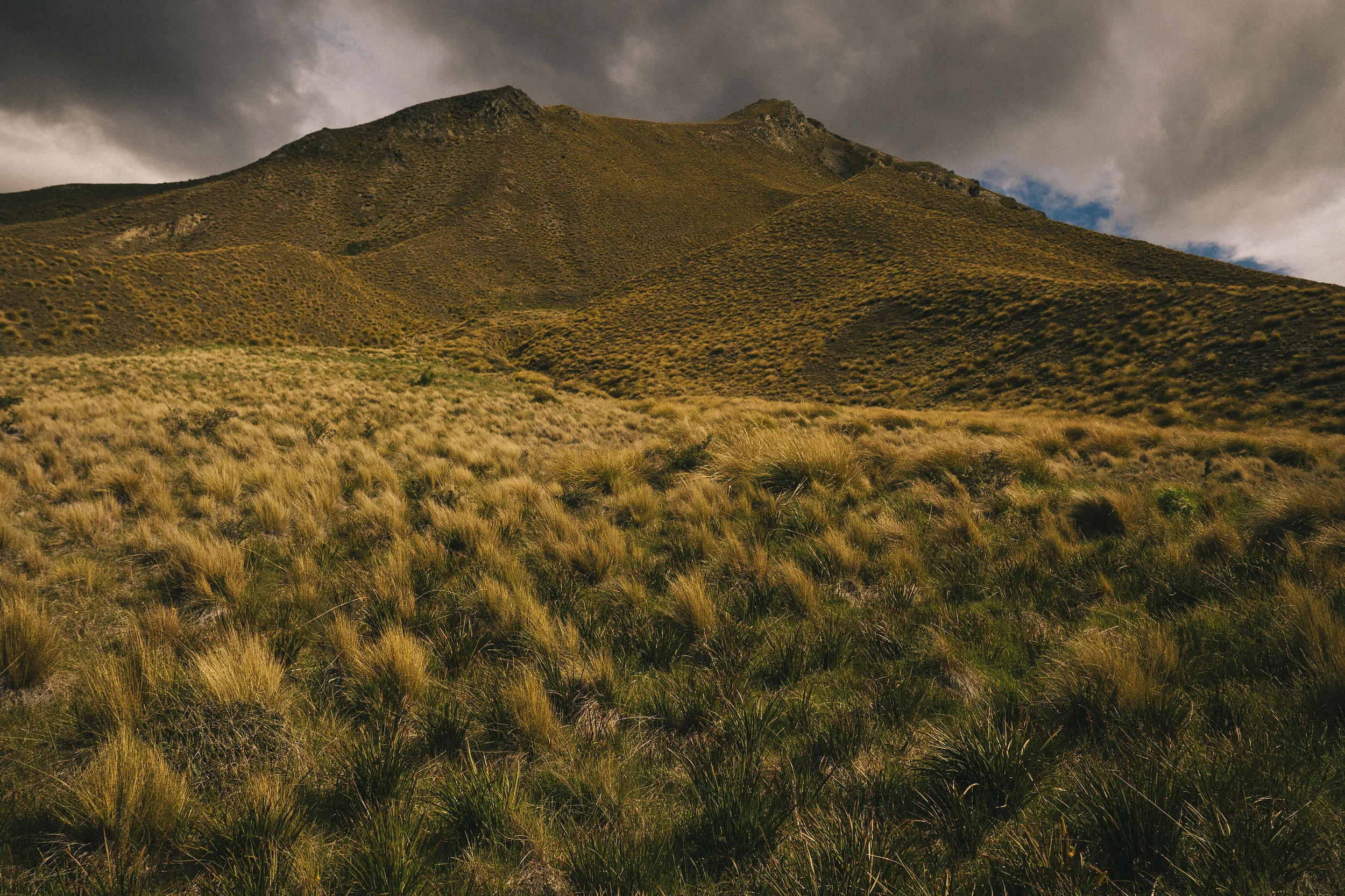Lindis Pass, New Zealand - 2016