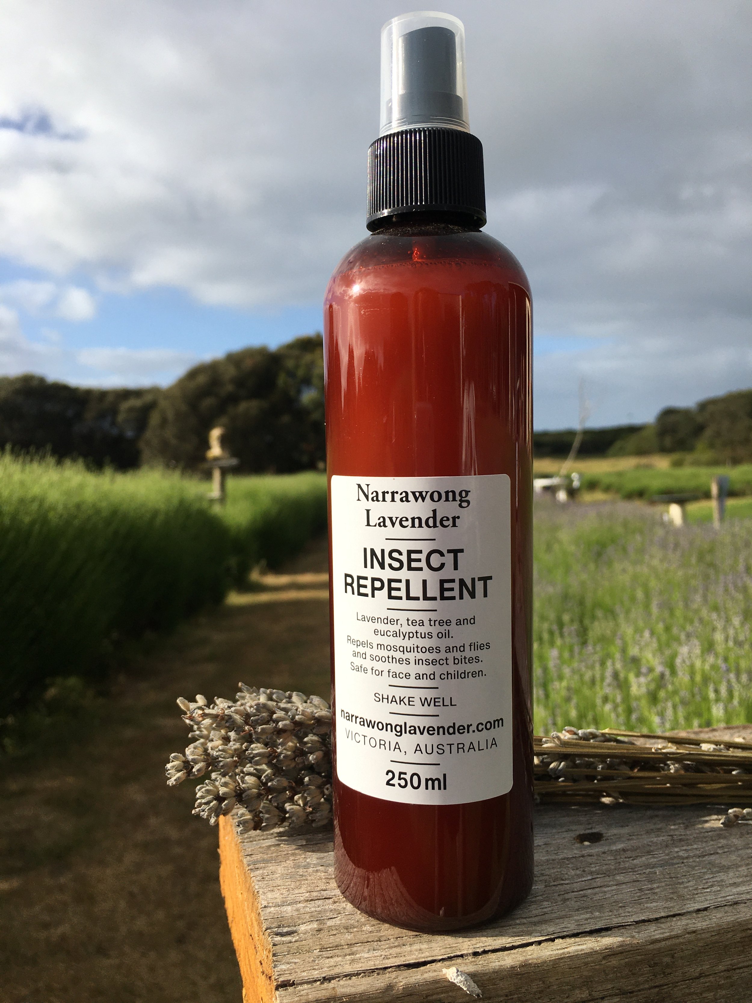 lavender plant bug repellent Lavender Bug Off Balm  No DEET