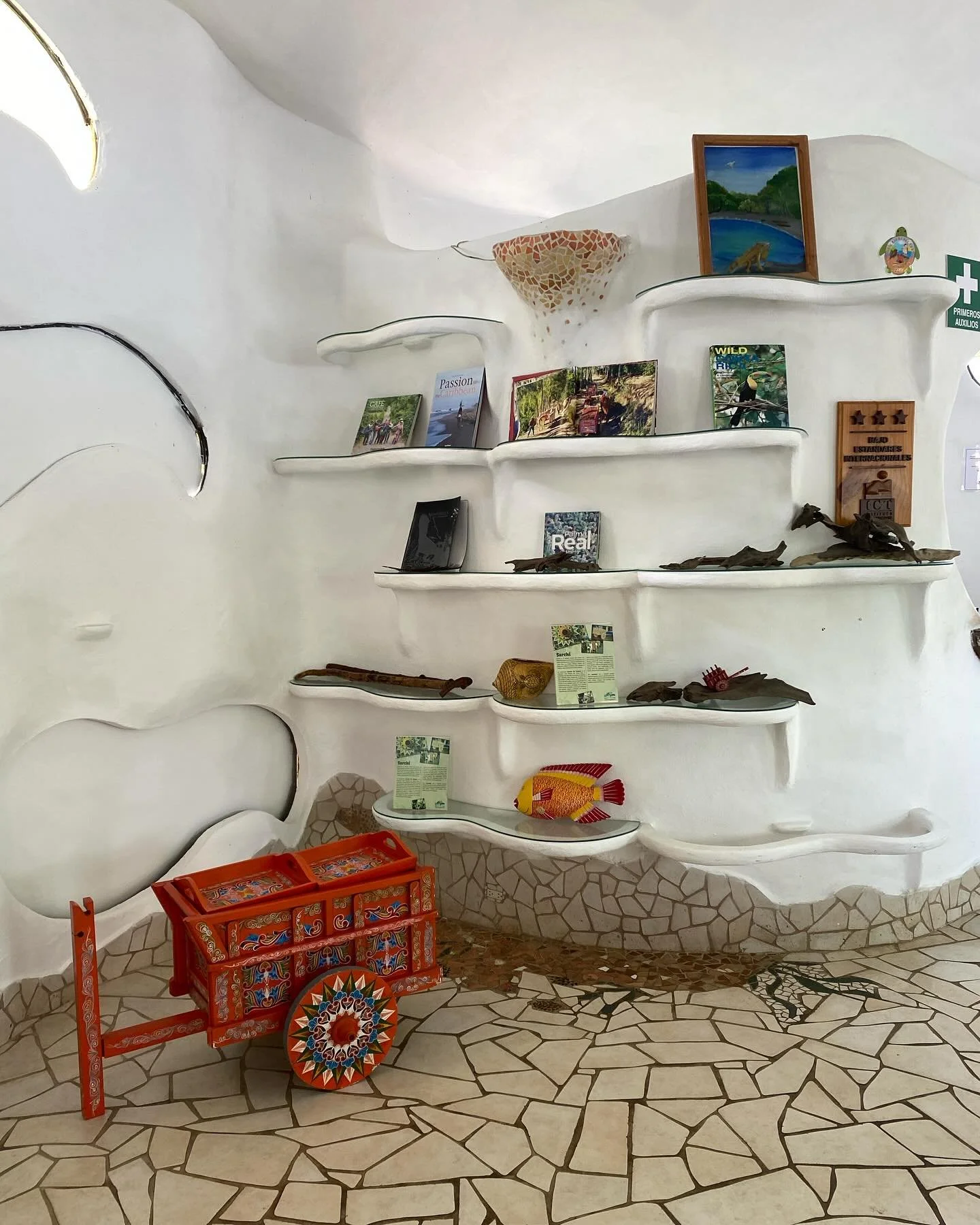 Costa rica, pura vida, mucha humedad, animales en su d&iacute;a a d&iacute;a y harta frutita🫰🏼🍉🦥🩷🍌🦜🍍🌳