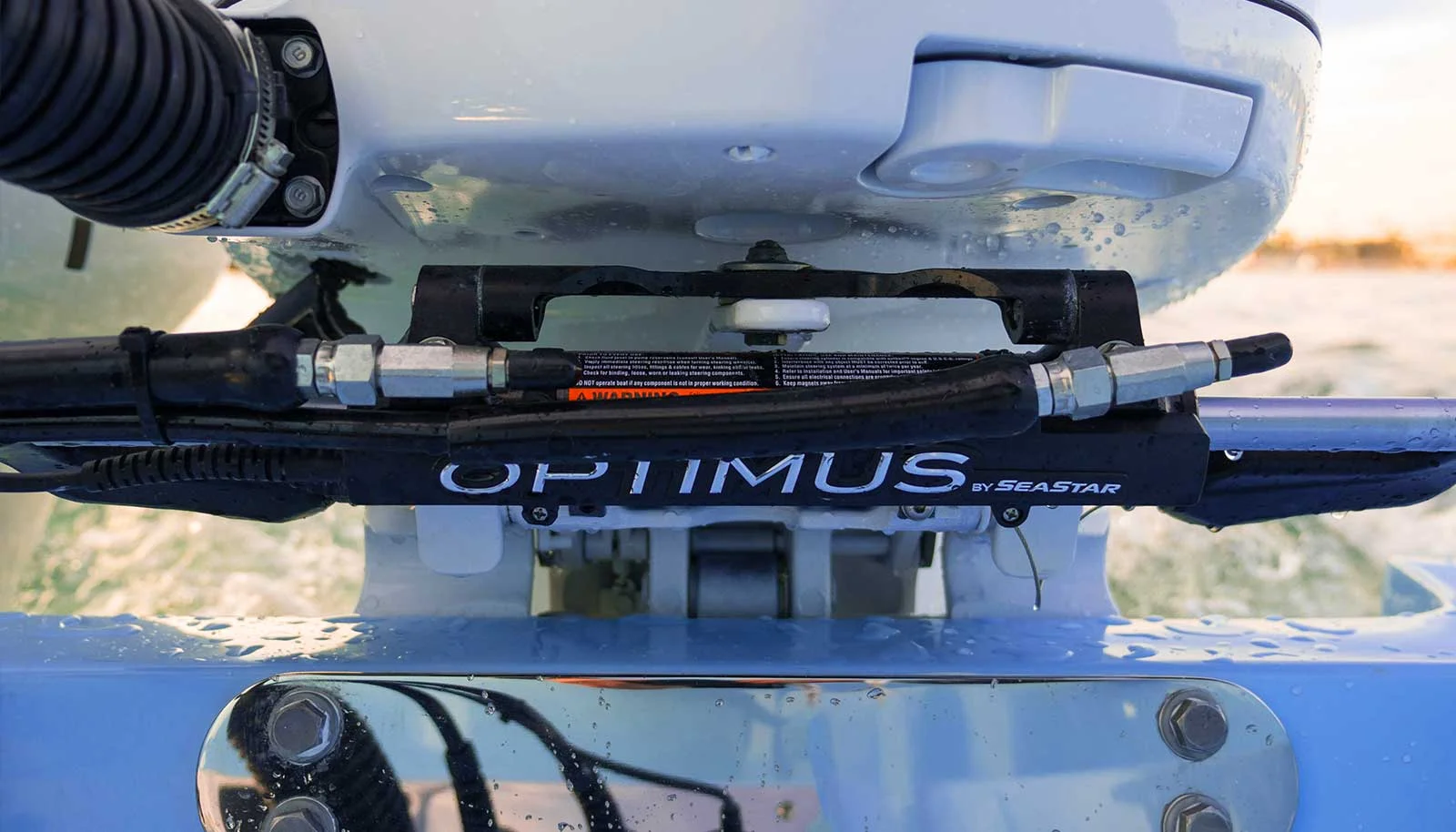 opimus.jpg