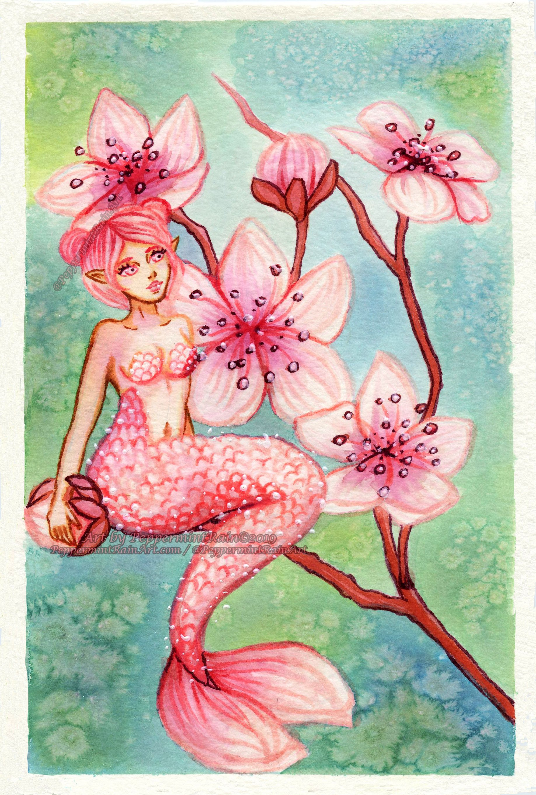 CheeryBlossom_Mermaid_MARKED.jpg