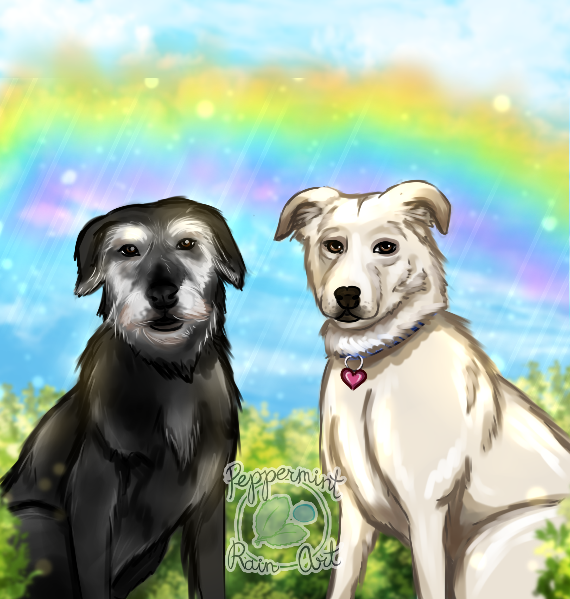 SuccessStoryDogsFinWatermark.png