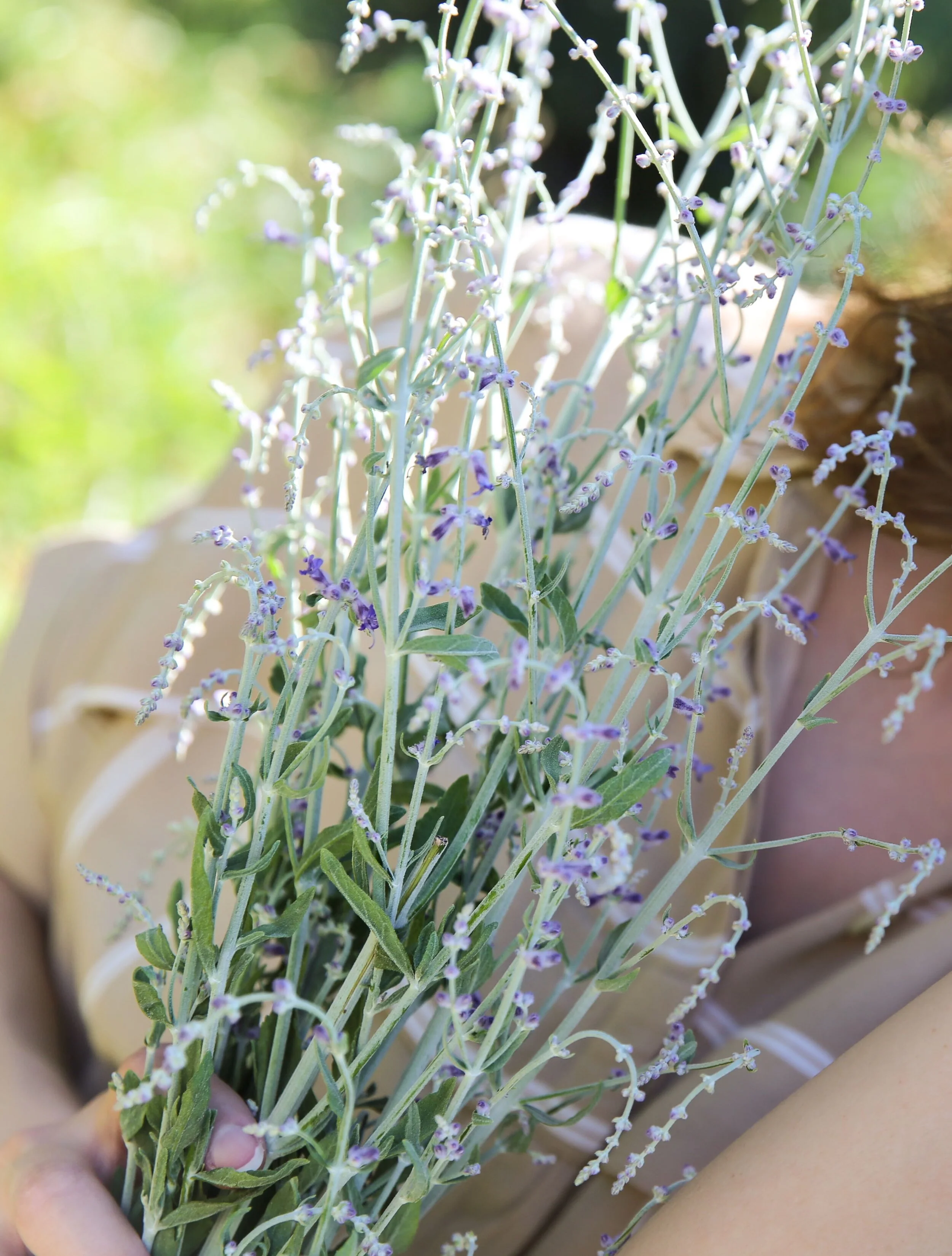 Picture taken by Joanna Paris