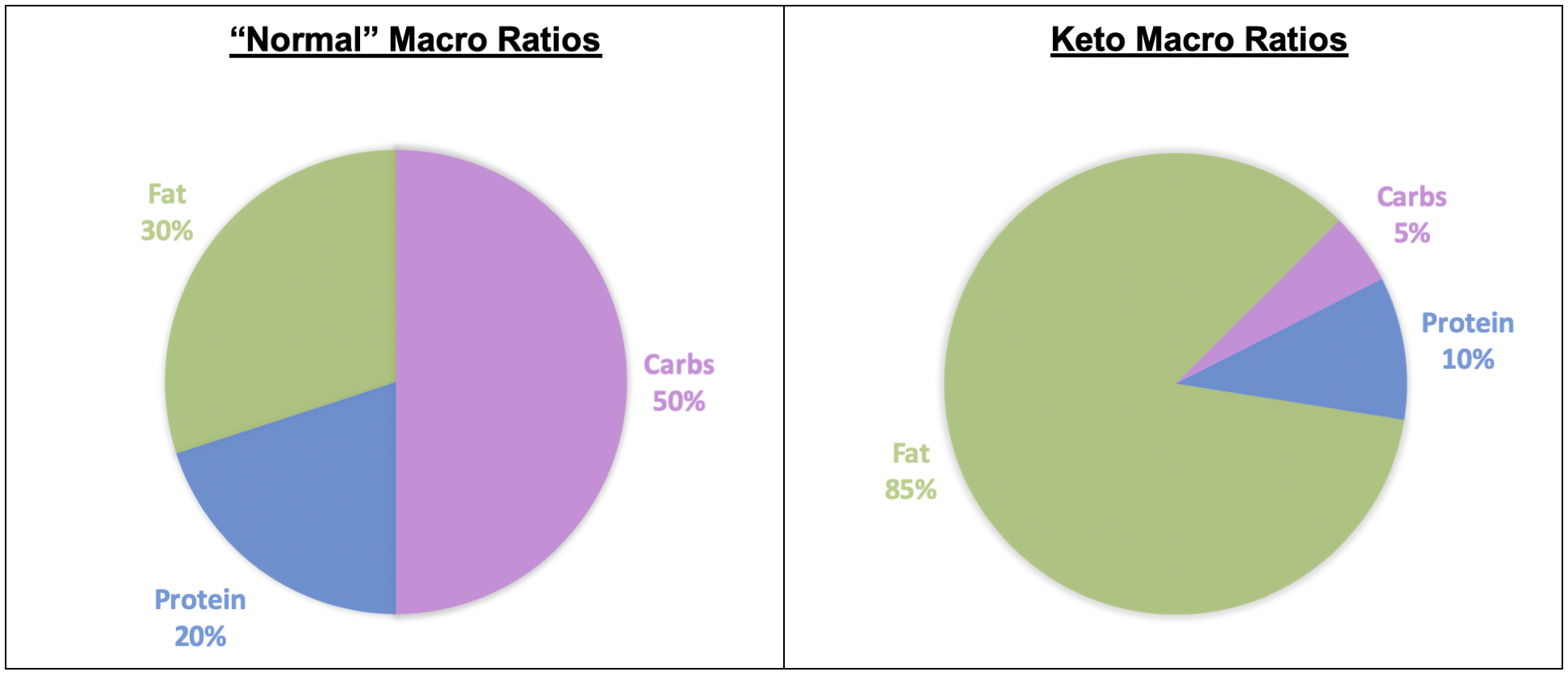 is the ket diet bullshit