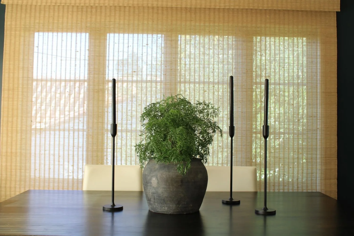 potted-plant-design-elm-street-06.jpeg