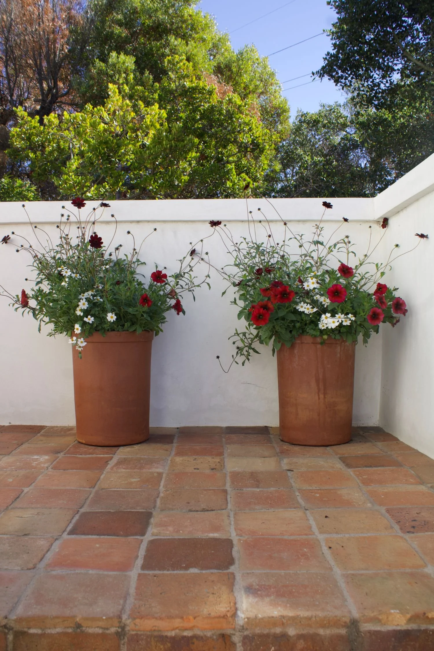 potted-plant-design-elm-street-07.jpeg