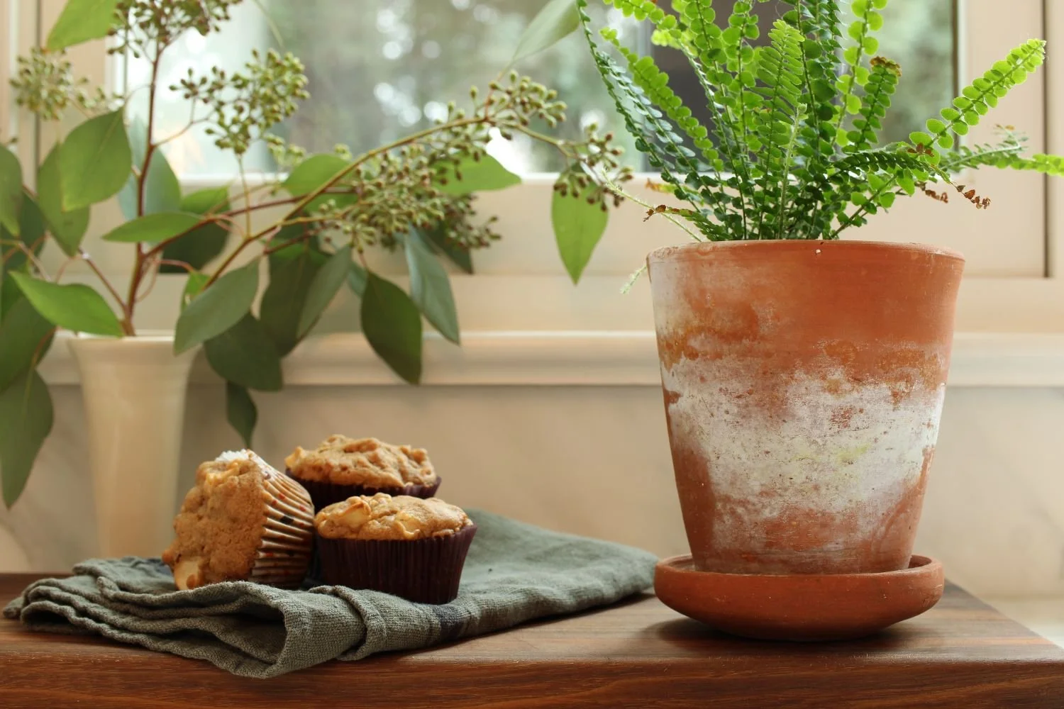 potted-plant-design-7th-street-04.jpeg