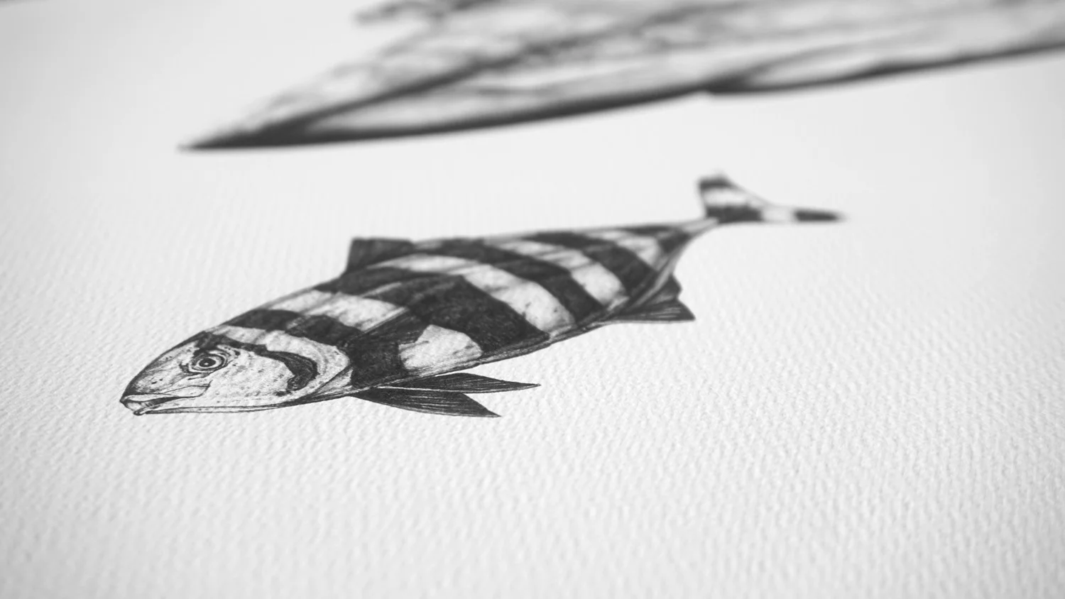 Detail_1.jpg