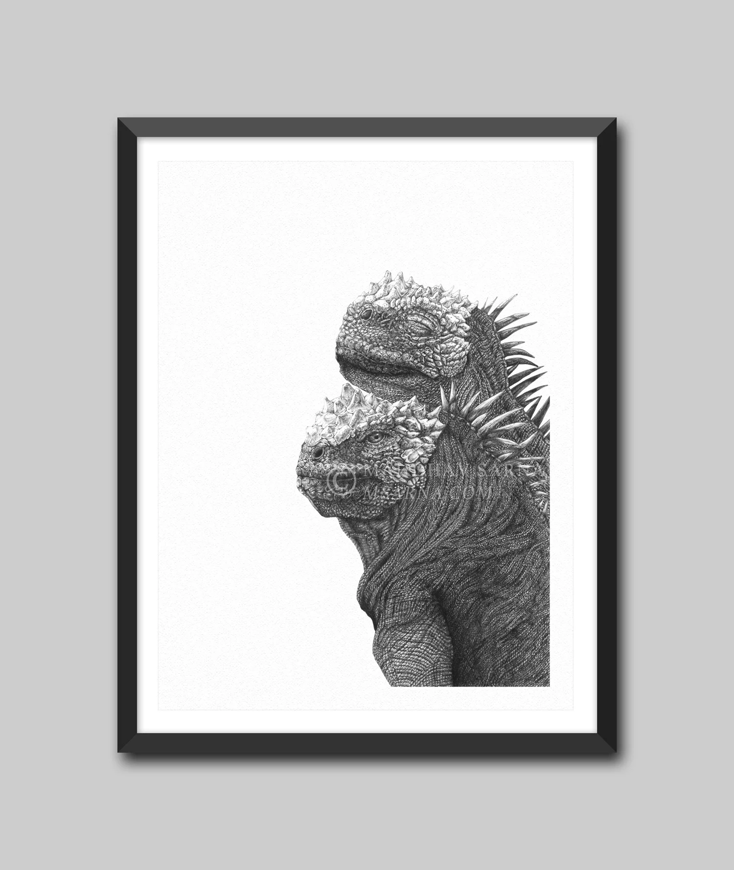 Framed.jpg