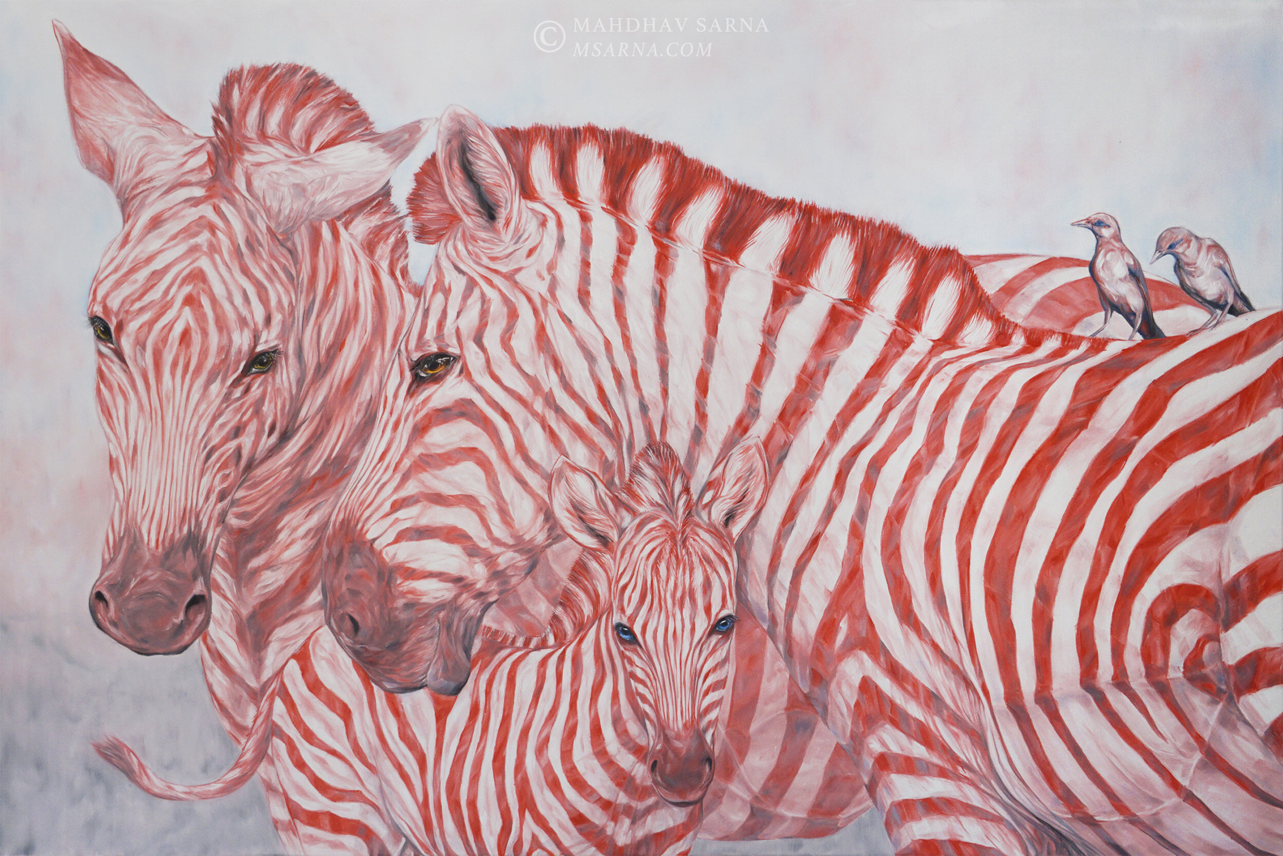 zebra oil painting wifi wildlife art mahdhav sarna 01.jpg