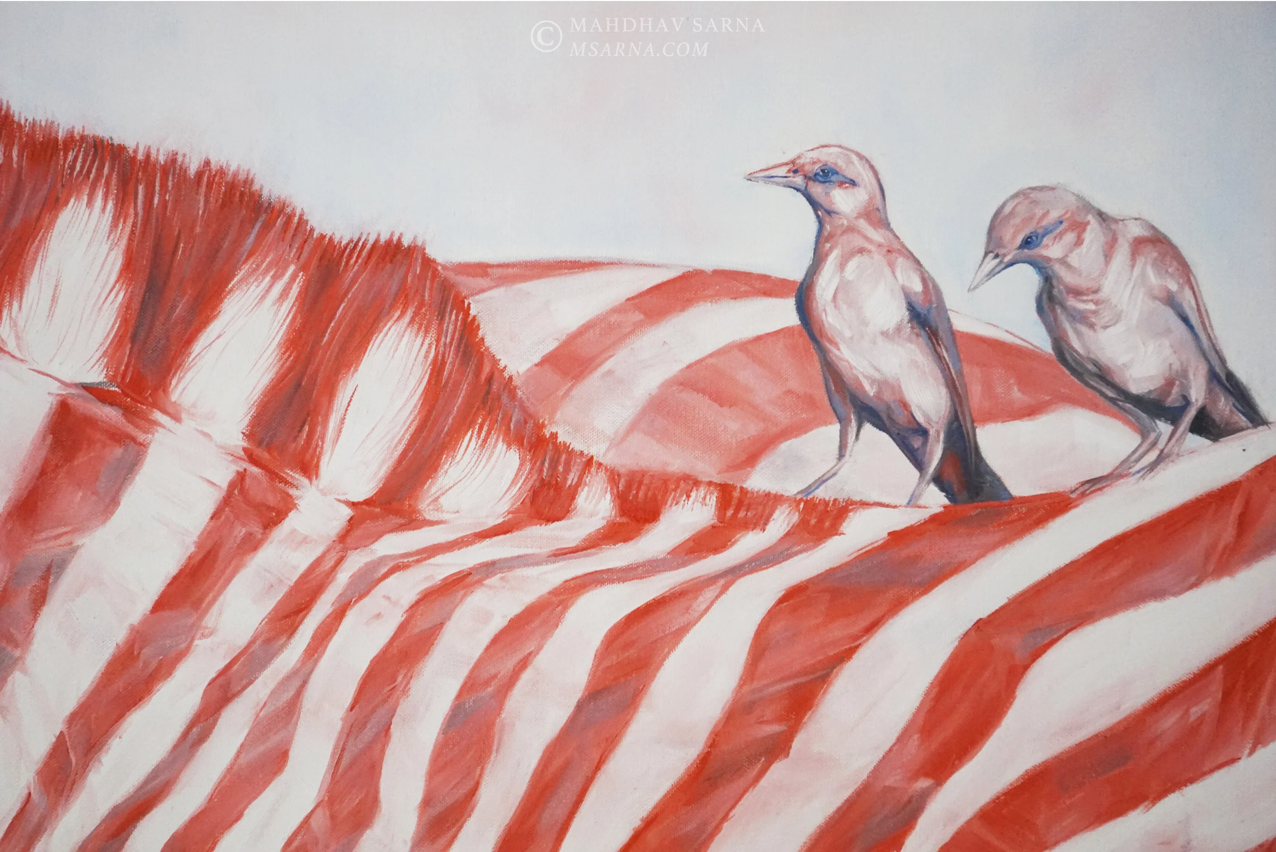 zebra oil painting wifi wildlife art mahdhav sarna 04.jpg