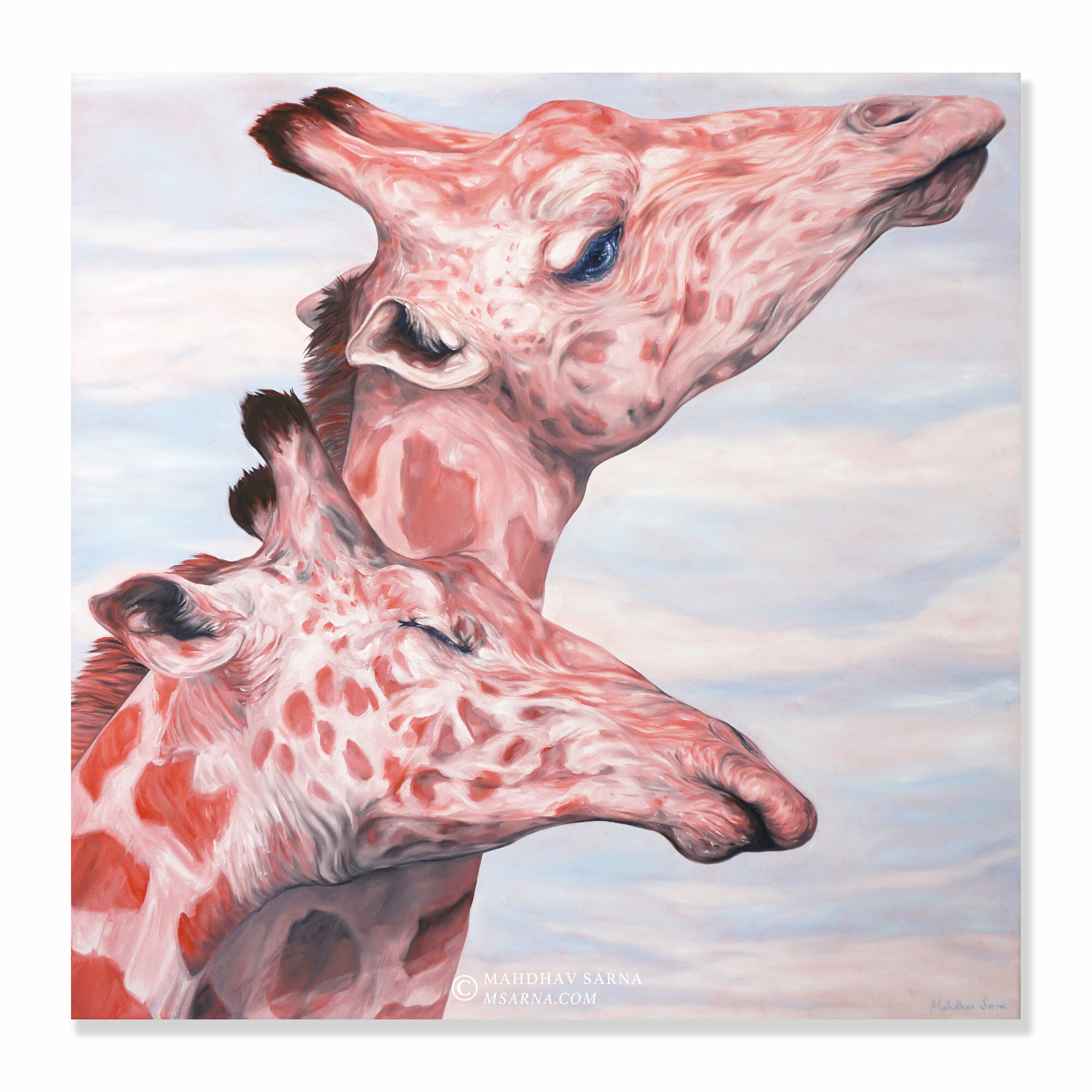 giraffe oil painting affn wildlife art mahdhav sarna 01.jpg