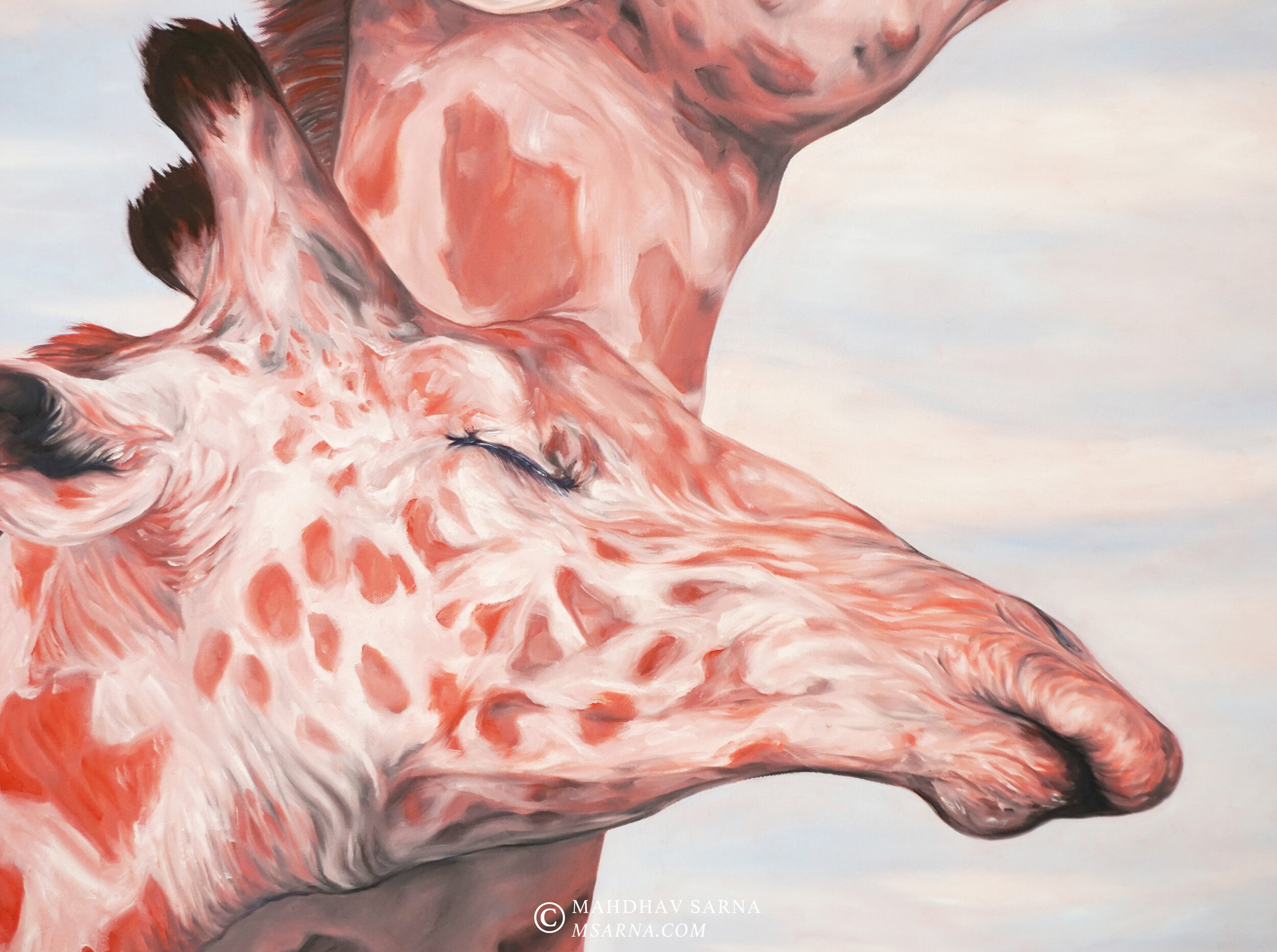 giraffe oil painting affn wildlife art mahdhav sarna 03.jpg