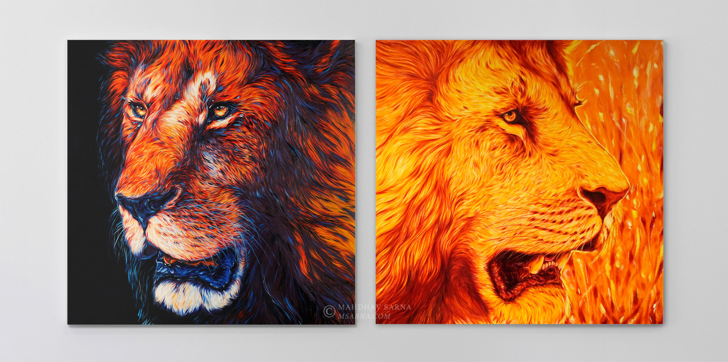 male lion oil painting tnpo wildlife art mahdhav sarna 03.jpg