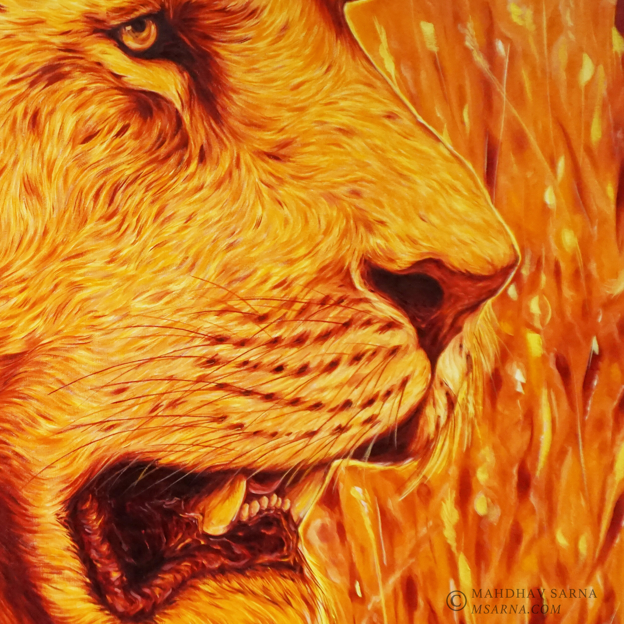 male lion oil painting tnpt wildlife art mahdhav sarna 02.jpg