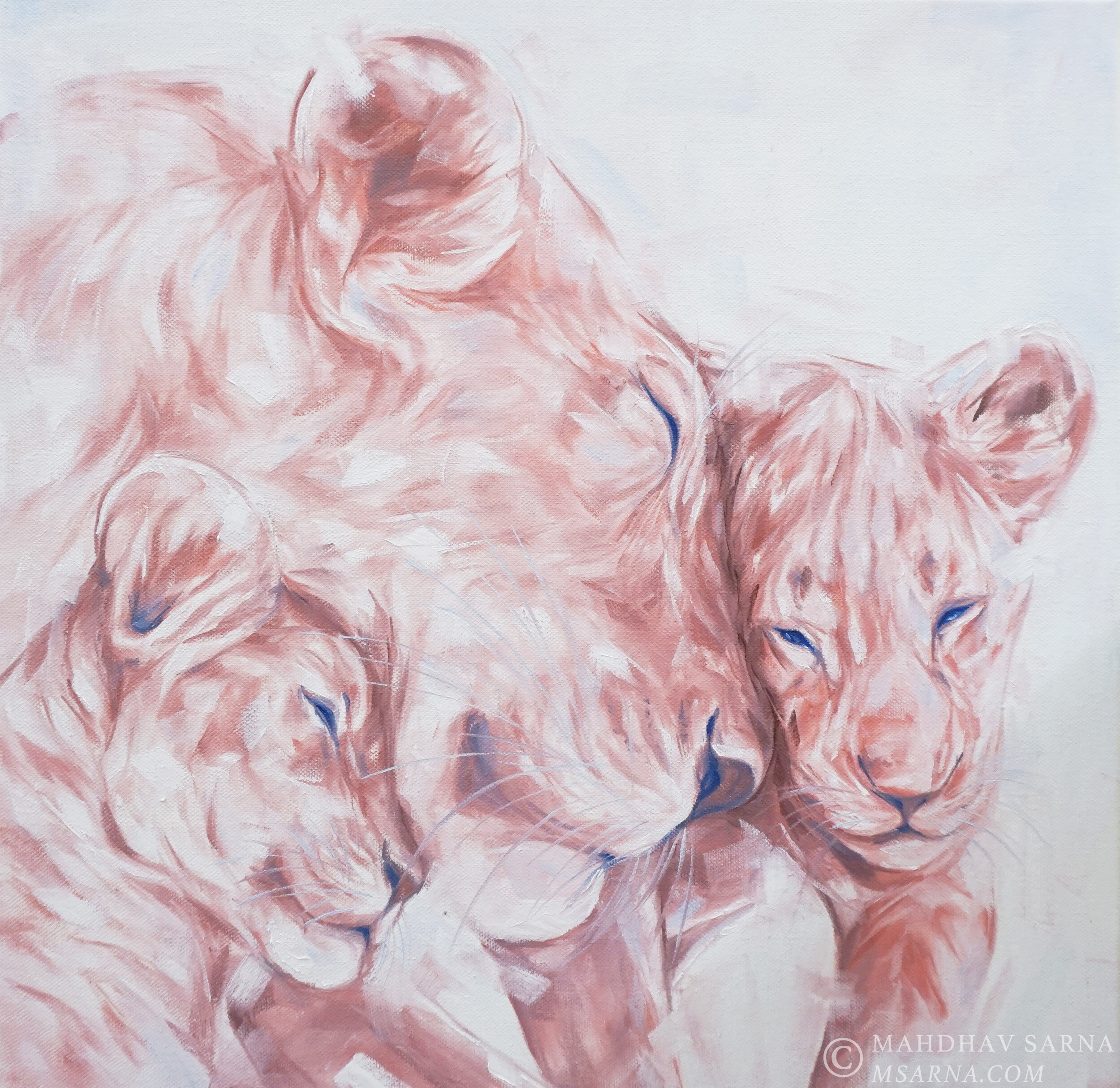 lioness cubs oil painting hphj wildlife art mahdhav sarna 01.jpg