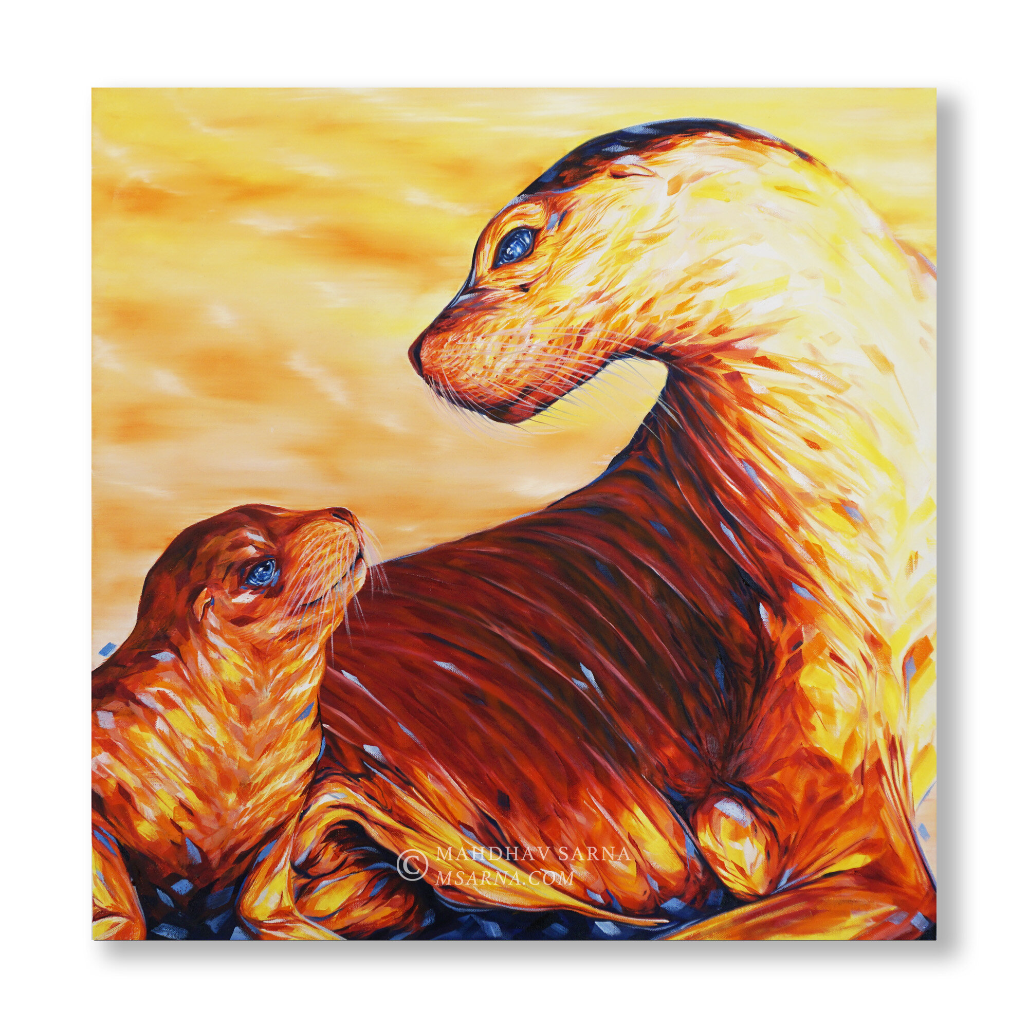 australian sea lion oil painting ihnn wildlife art mahdhav sarna 01.jpg