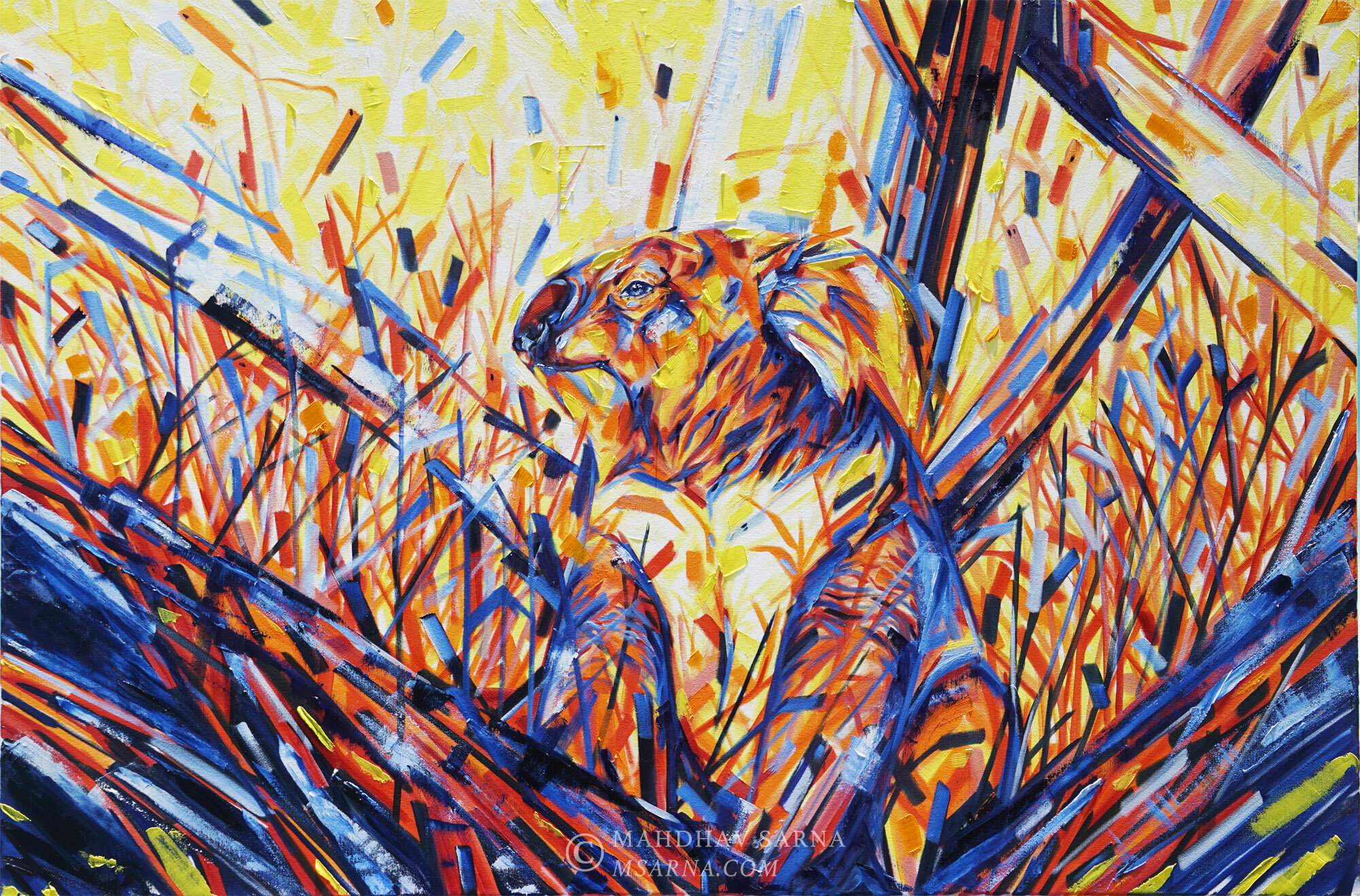 koala oil painting mfvl wildlife art mahdhav sarna 01.jpg