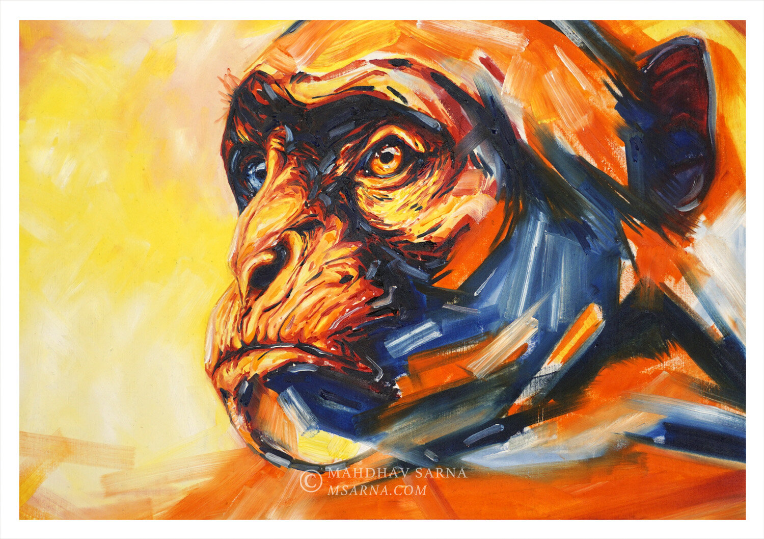 vervet monkey oil painting tlko wildlife art mahdhav sarna 01.jpg