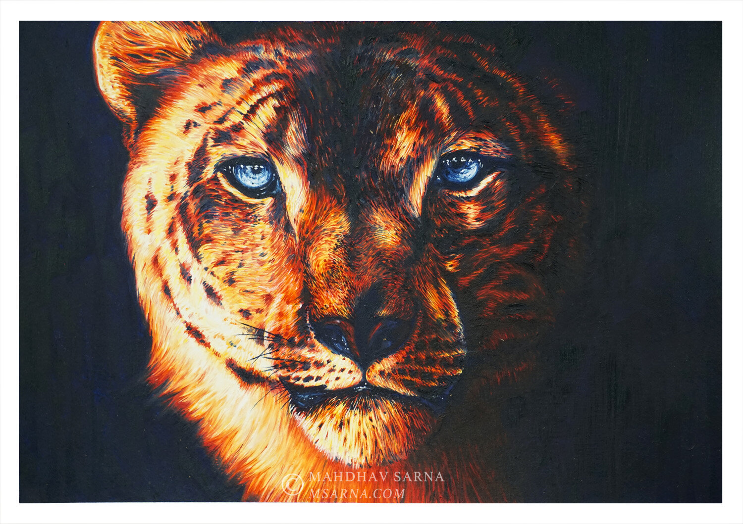 snow leopard oil painting thhr wildlife art mahdhav sarna 01.jpg