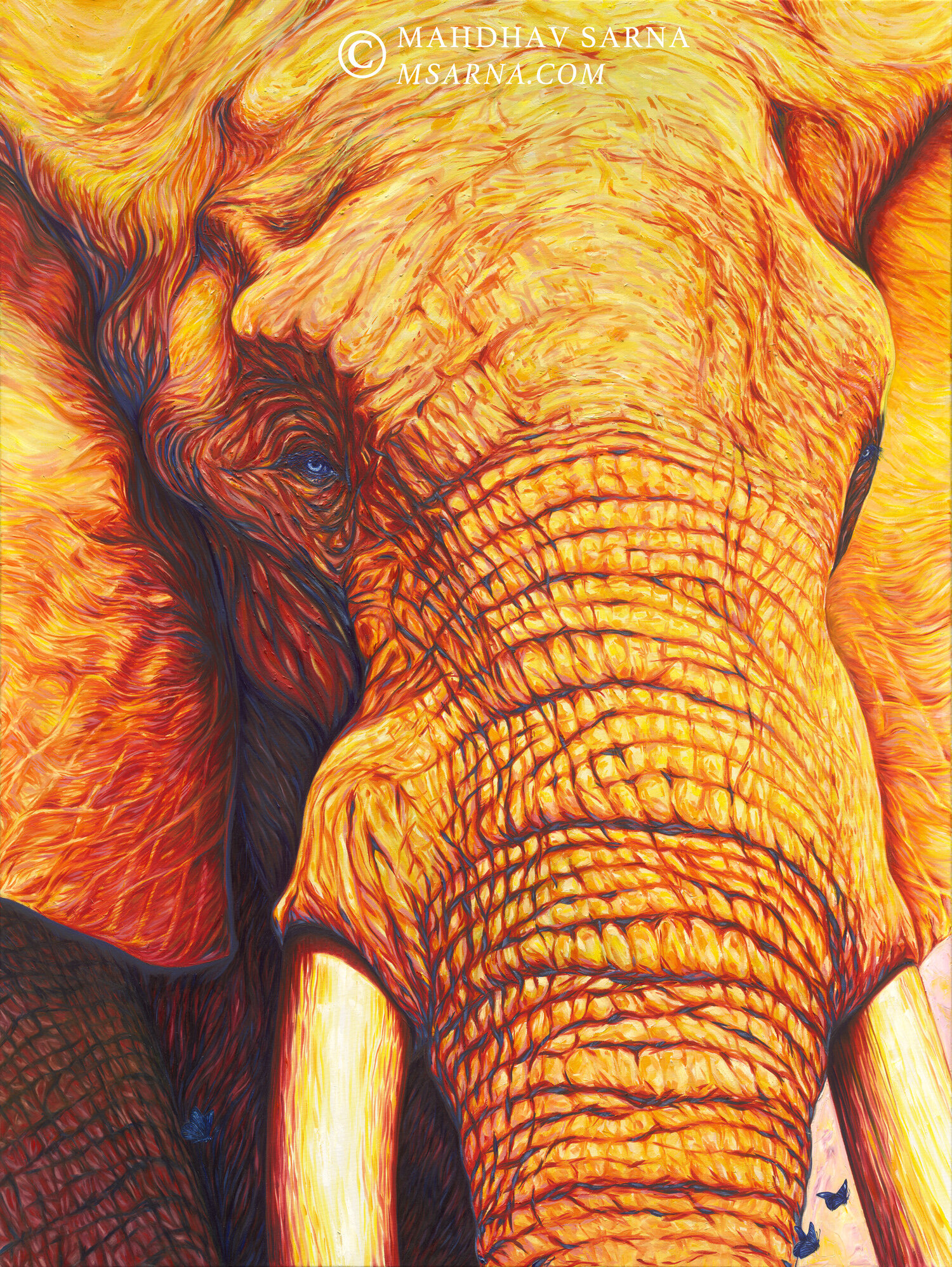 african elephant oil painting tgag wildlife art mahdhav sarna 01.jpg