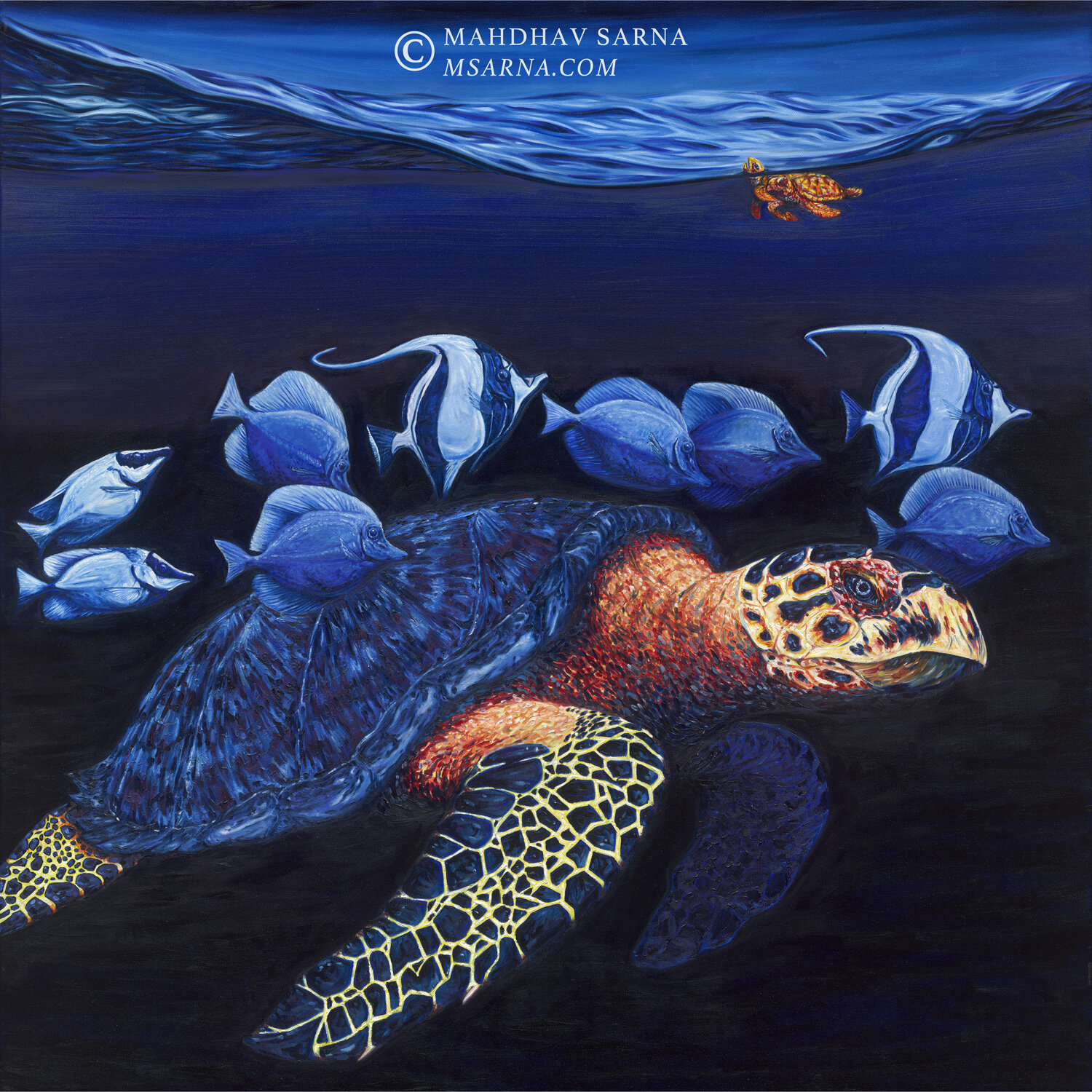 hawksbill turtle oil painting aggp wildlife art mahdhav sarna 01.jpg