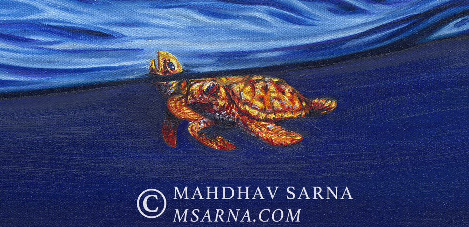 hawksbill turtle oil painting aggp wildlife art mahdhav sarna 03.jpg