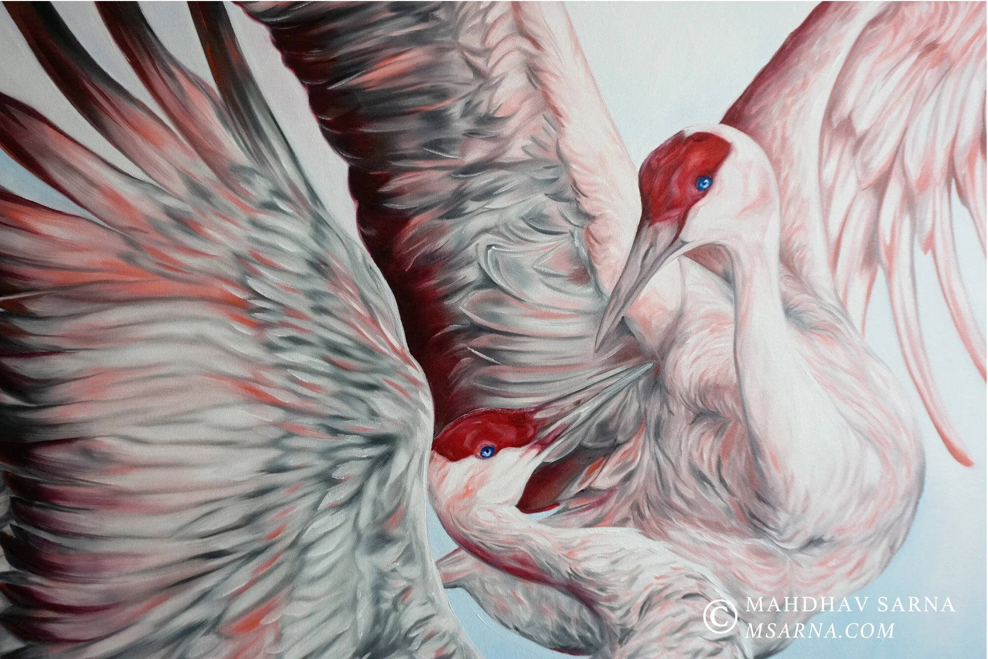 sandhill cranes oil painting llsc wildlife art mahdhav sarna 02.jpg