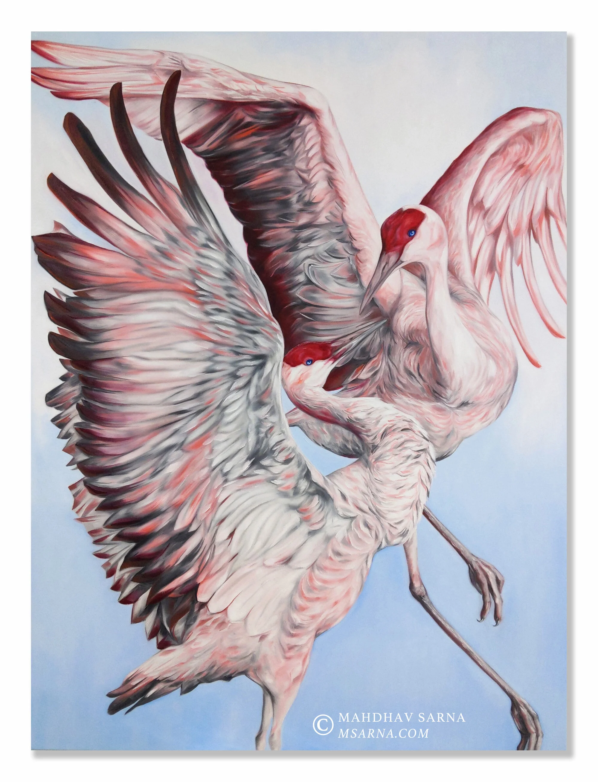 sandhill cranes oil painting llsc wildlife art mahdhav sarna 01.jpg