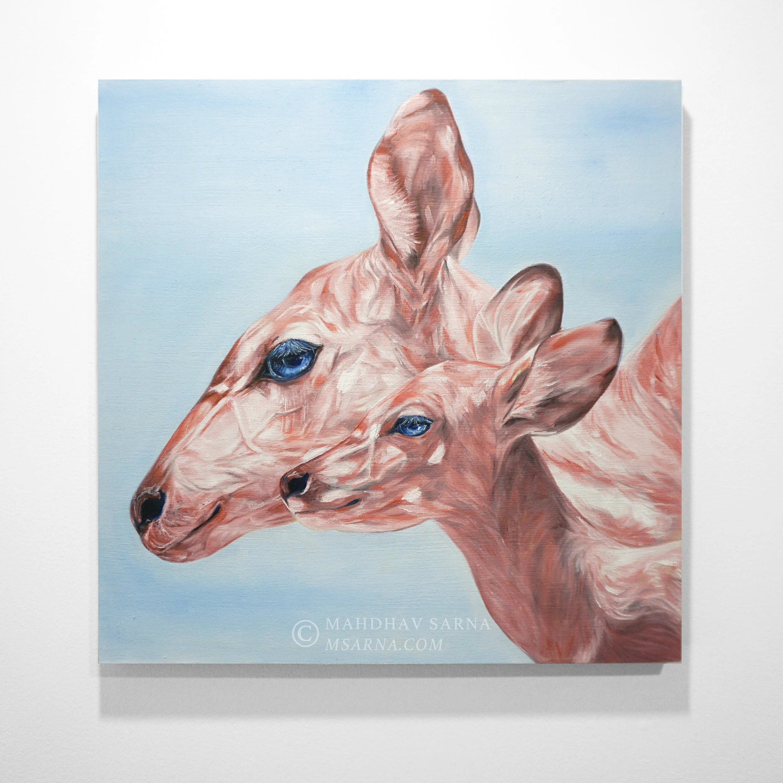 nyala calf oil painting bmsi wildlife art mahdhav sarna.jpg