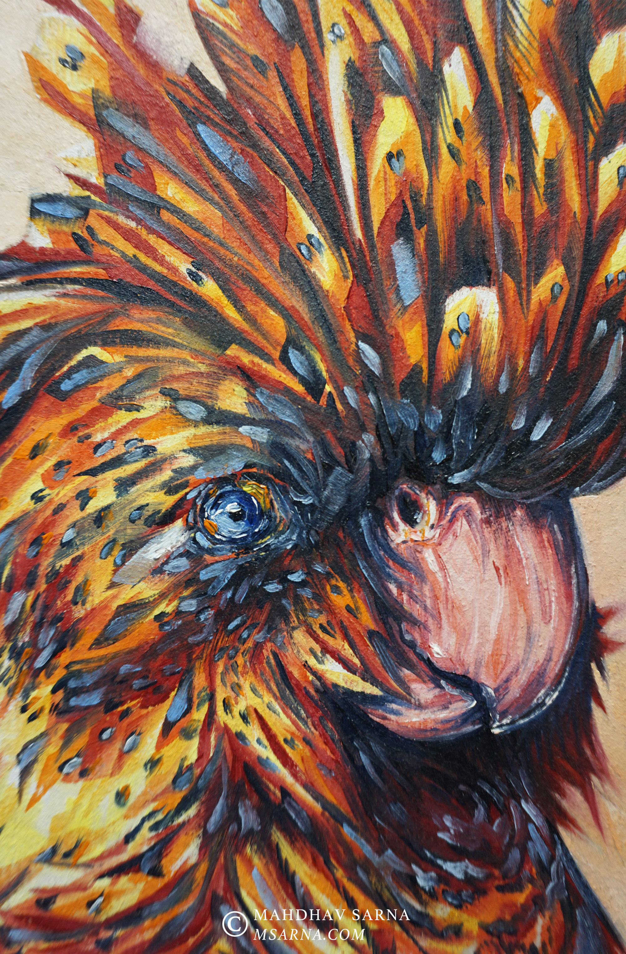 red tailed black cockatoo oil painting bcto wildlife art mahdhav sarna 01 .jpg