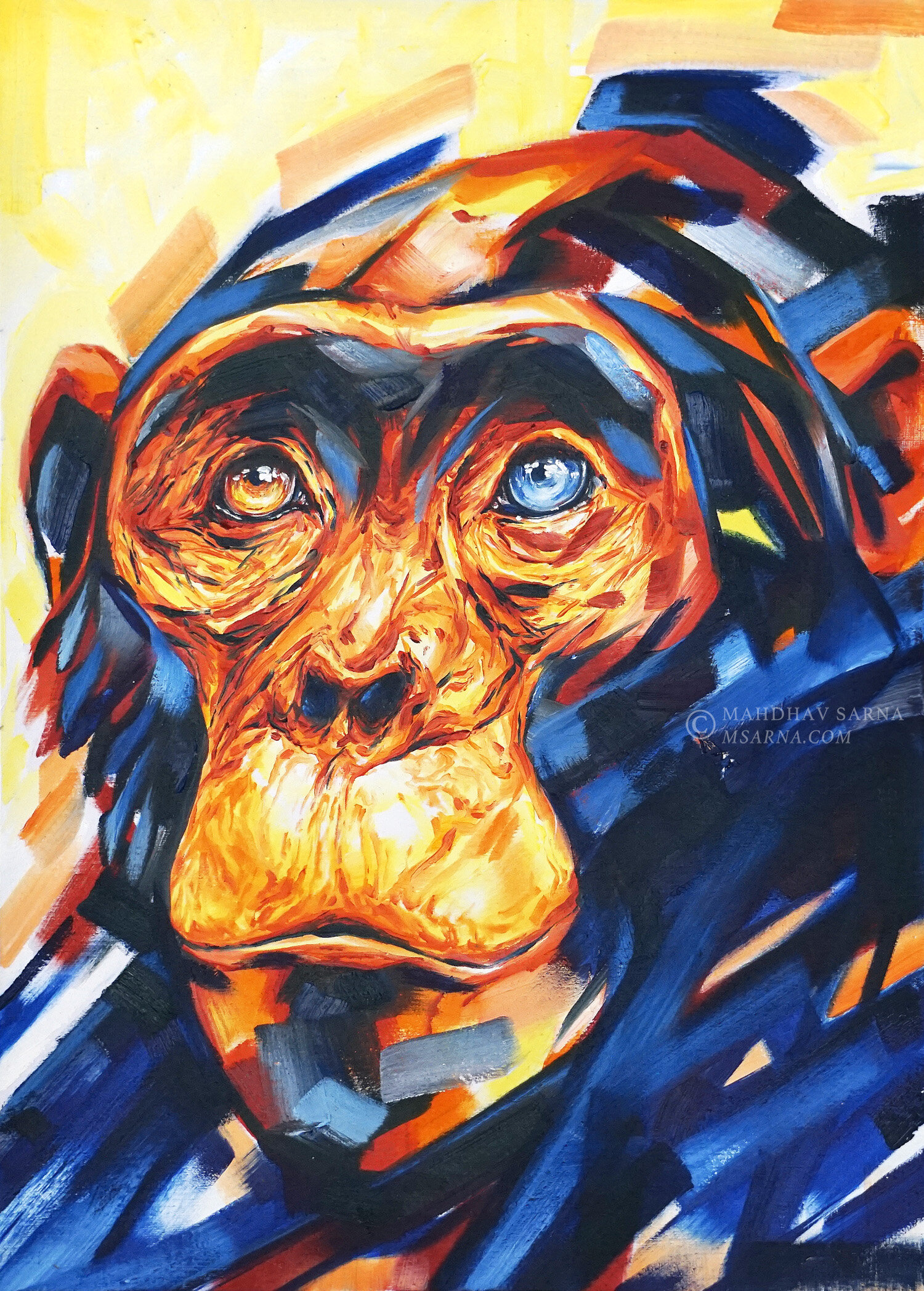 chimpanzee oil painting imhc wildlife art mahdhav sarna 01.jpg