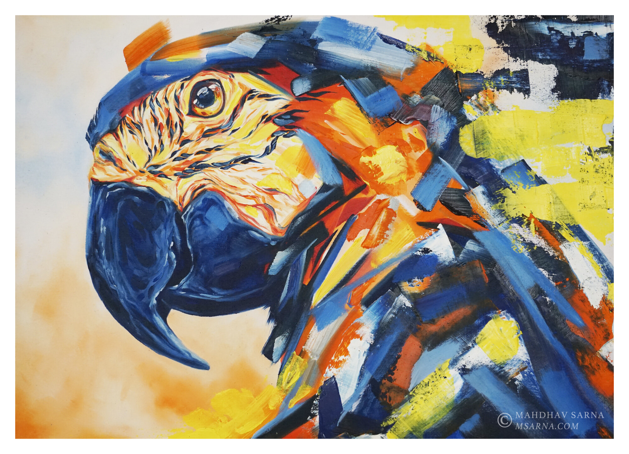 parrot macaw oil painting macw wildlife art mahdhav sarna 01.jpg