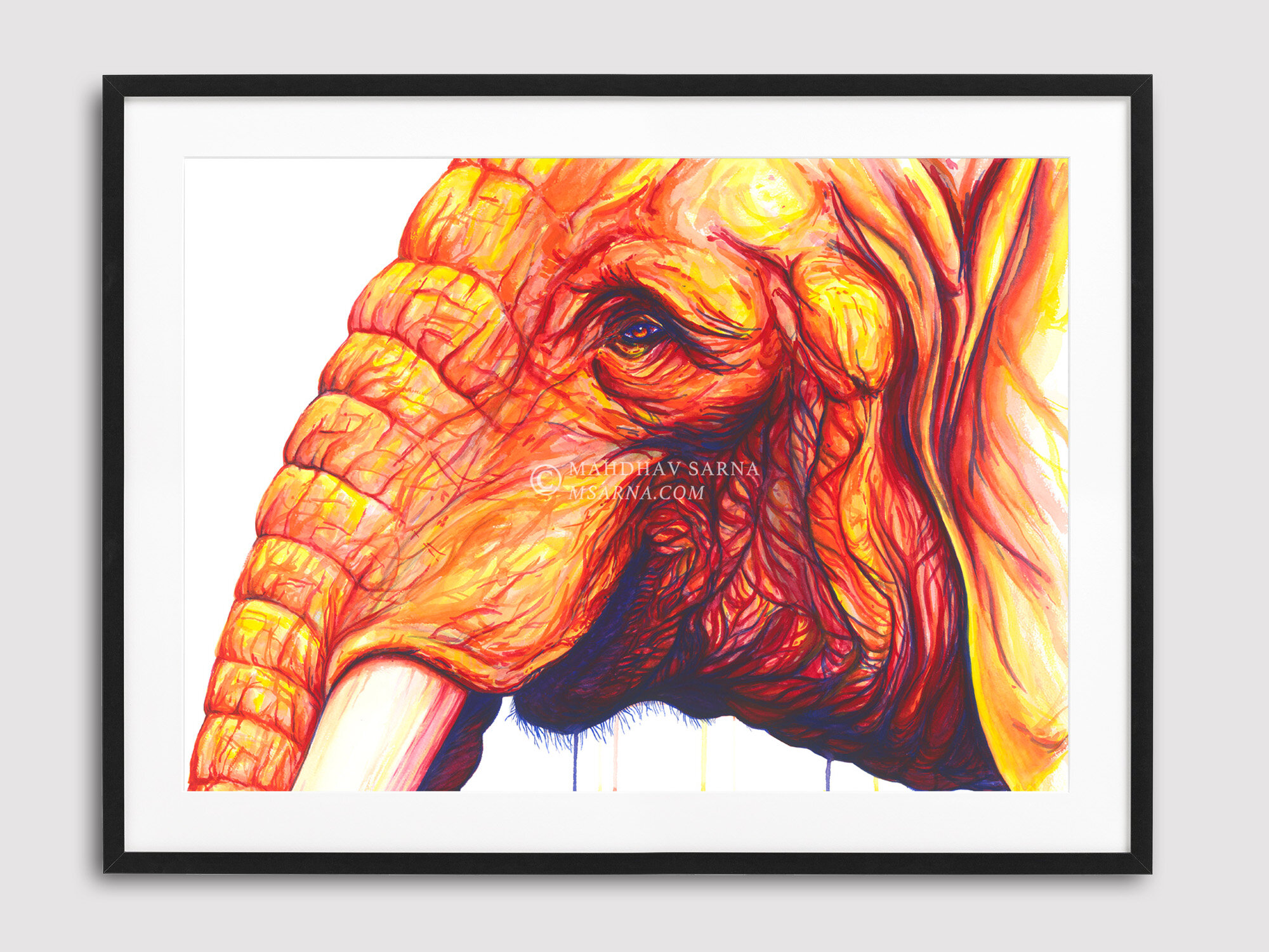african elephant watercolour painting tmat wildlife art mahdhav sarna 04.jpg