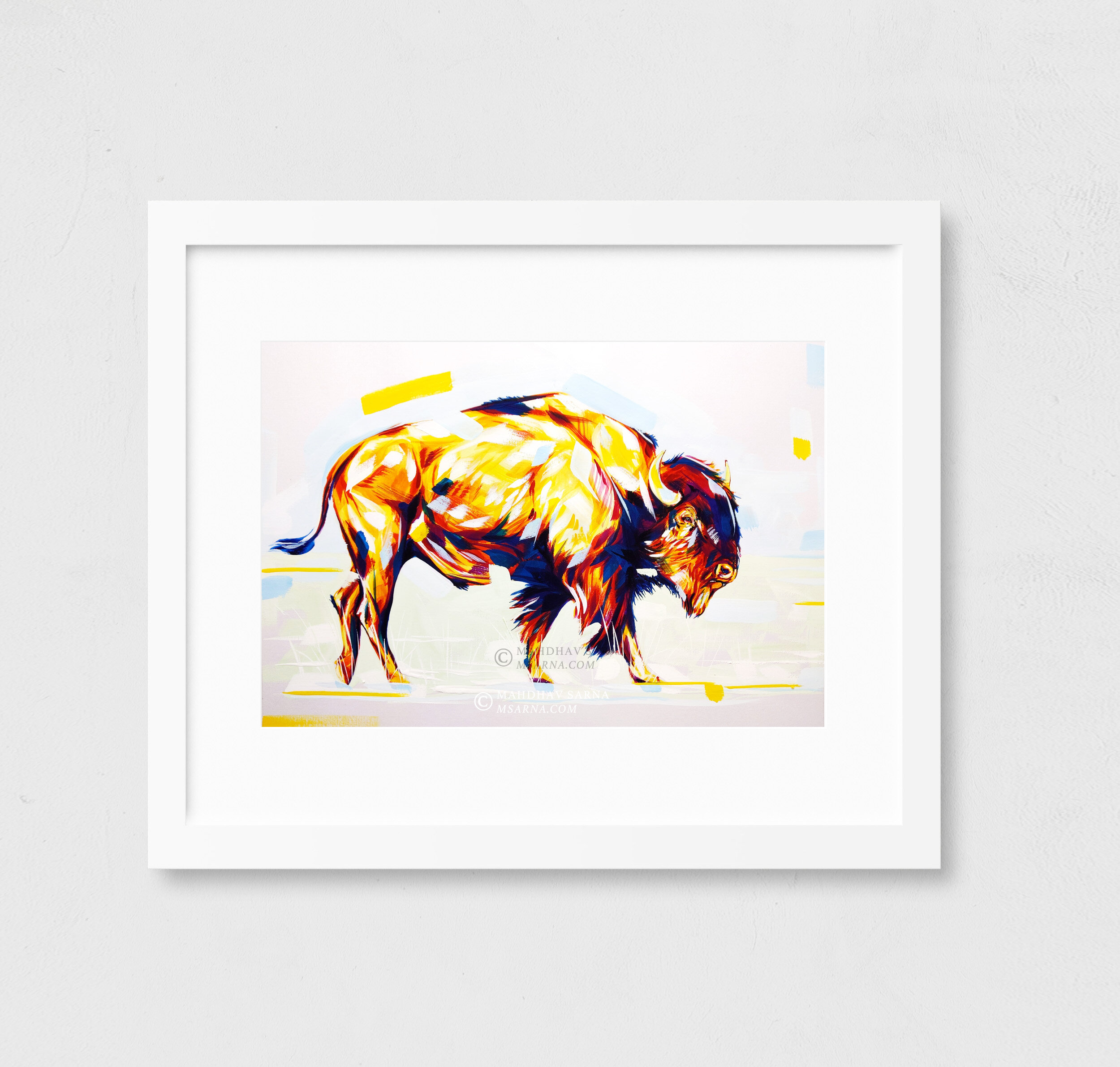 american bison gouache painting bsns wildlife art mahdhav sarna 02.jpg