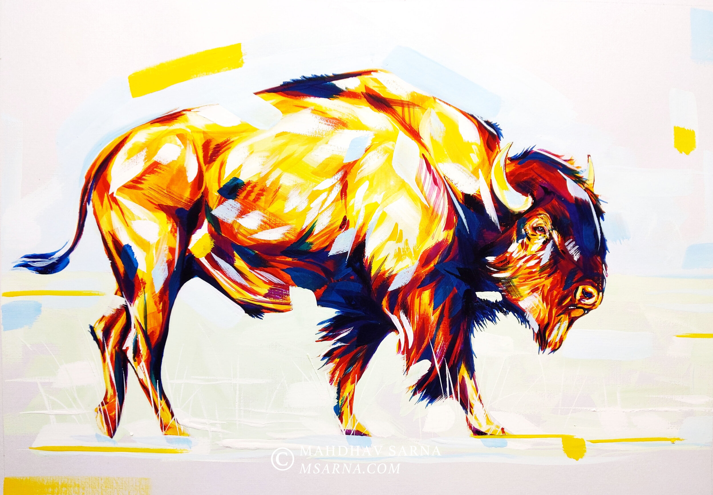 american bison gouache painting bsns wildlife art mahdhav sarna.jpg