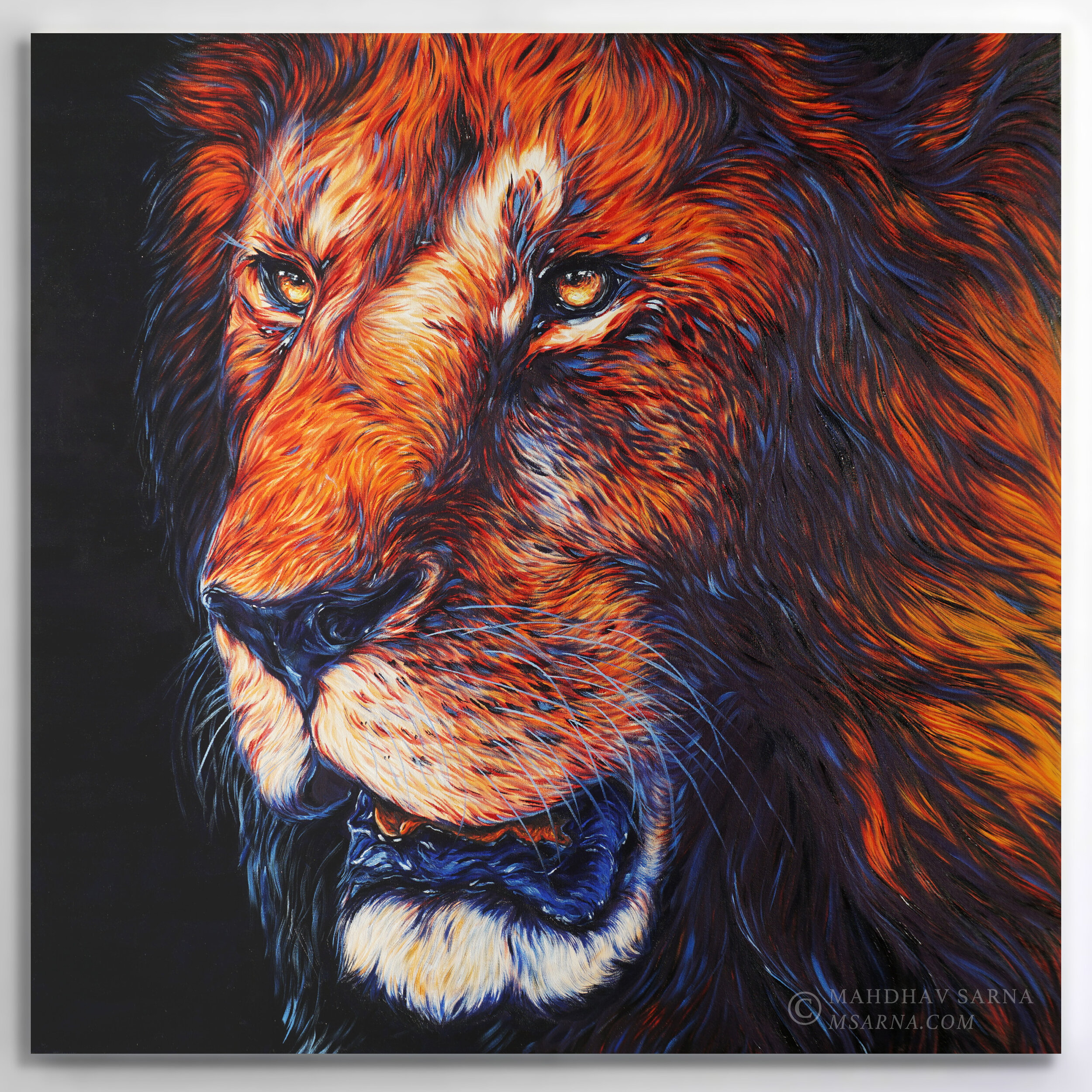 male lion oil painting tnpo wildlife art mahdhav sarna.jpg