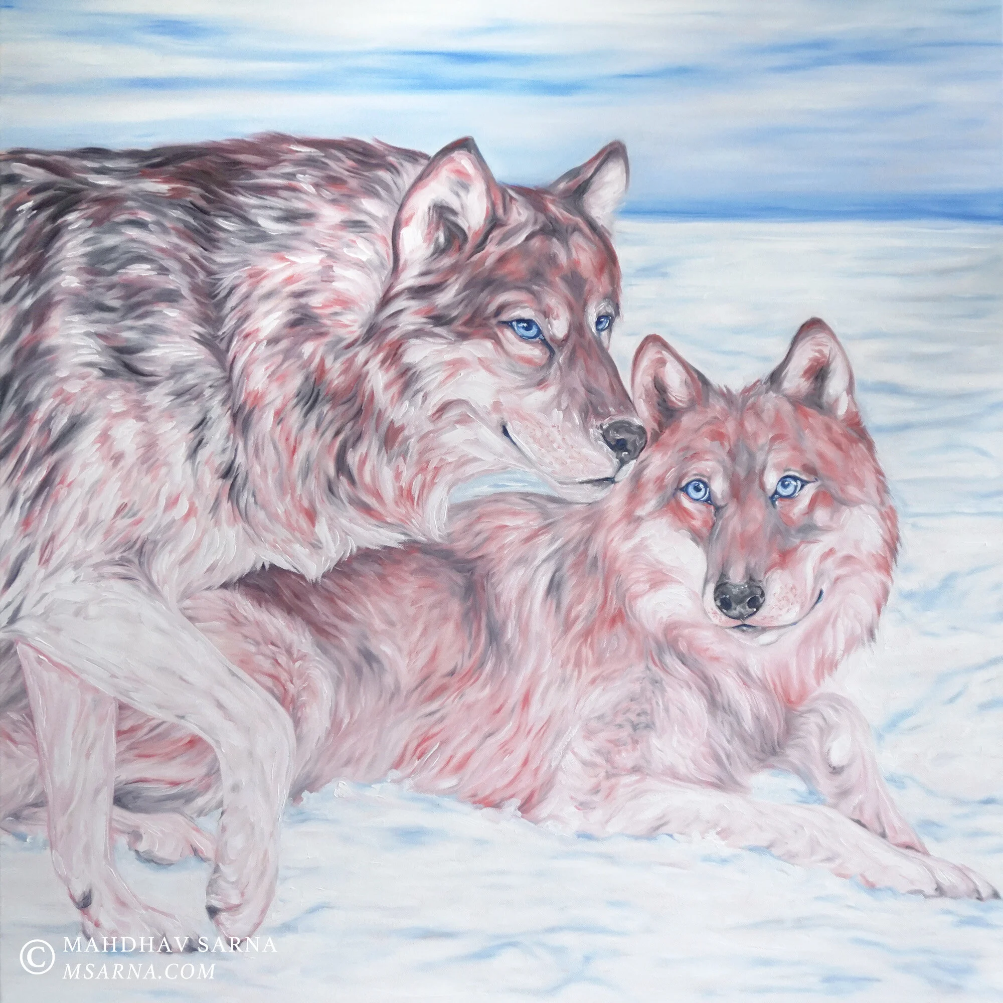 gray wolf oil painting llgw wildlife art mahdhav sarna 01.jpg