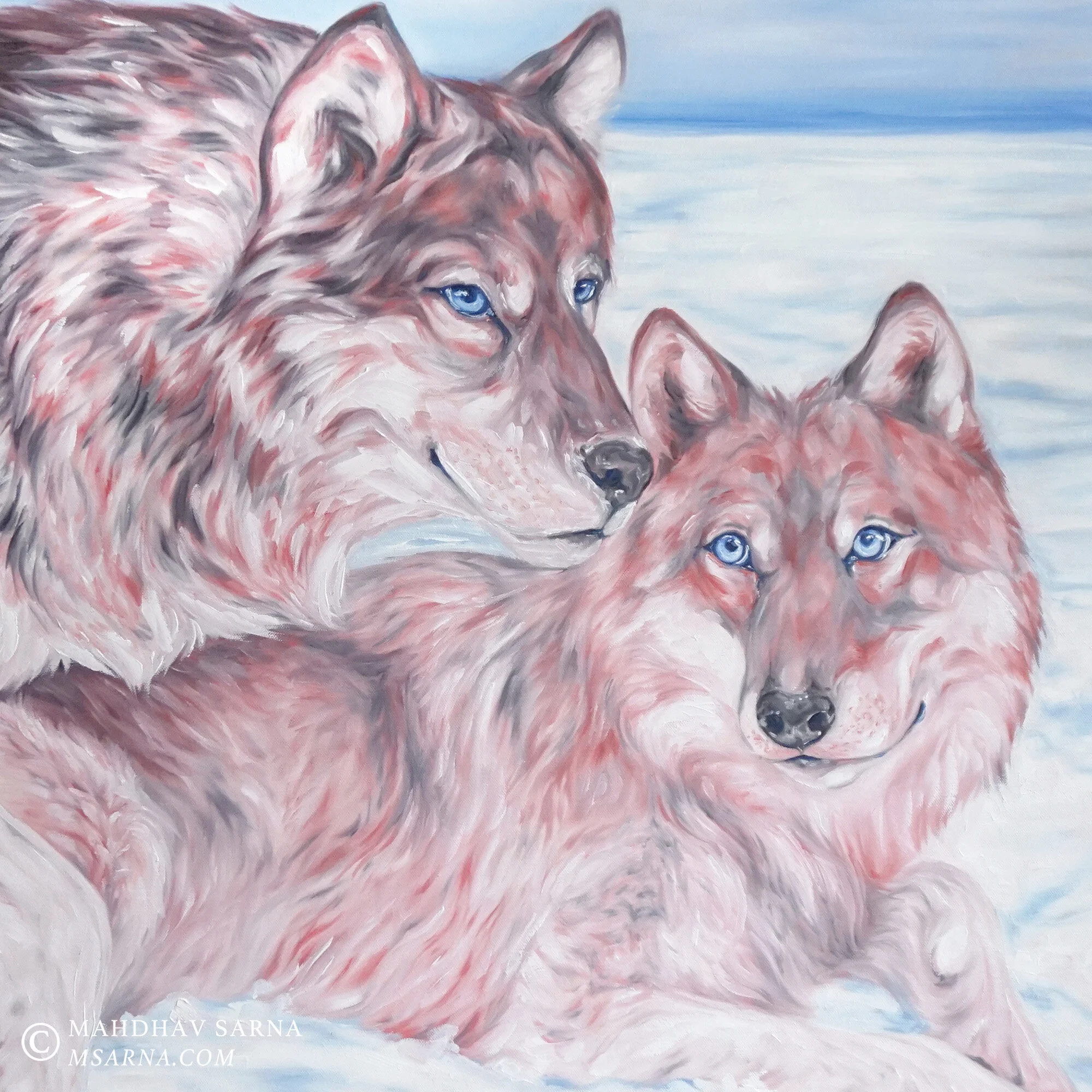 gray wolf oil painting llgw wildlife art mahdhav sarna 02.jpg
