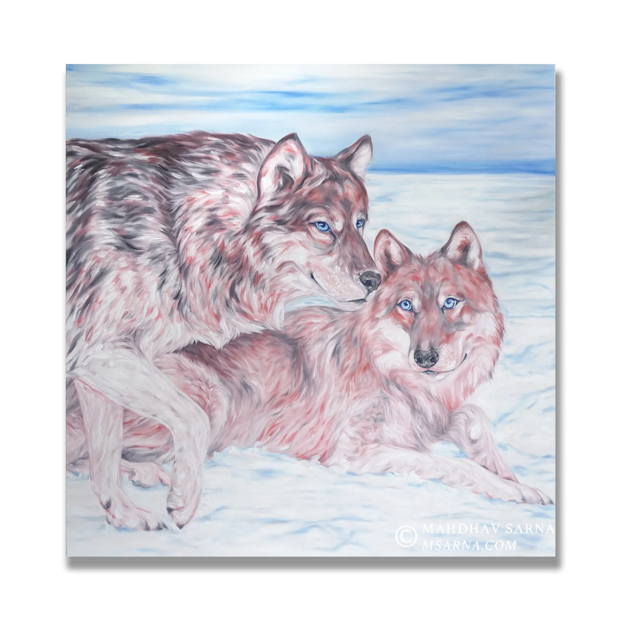 gray wolf oil painting llgw wildlife art mahdhav sarna 03.jpg