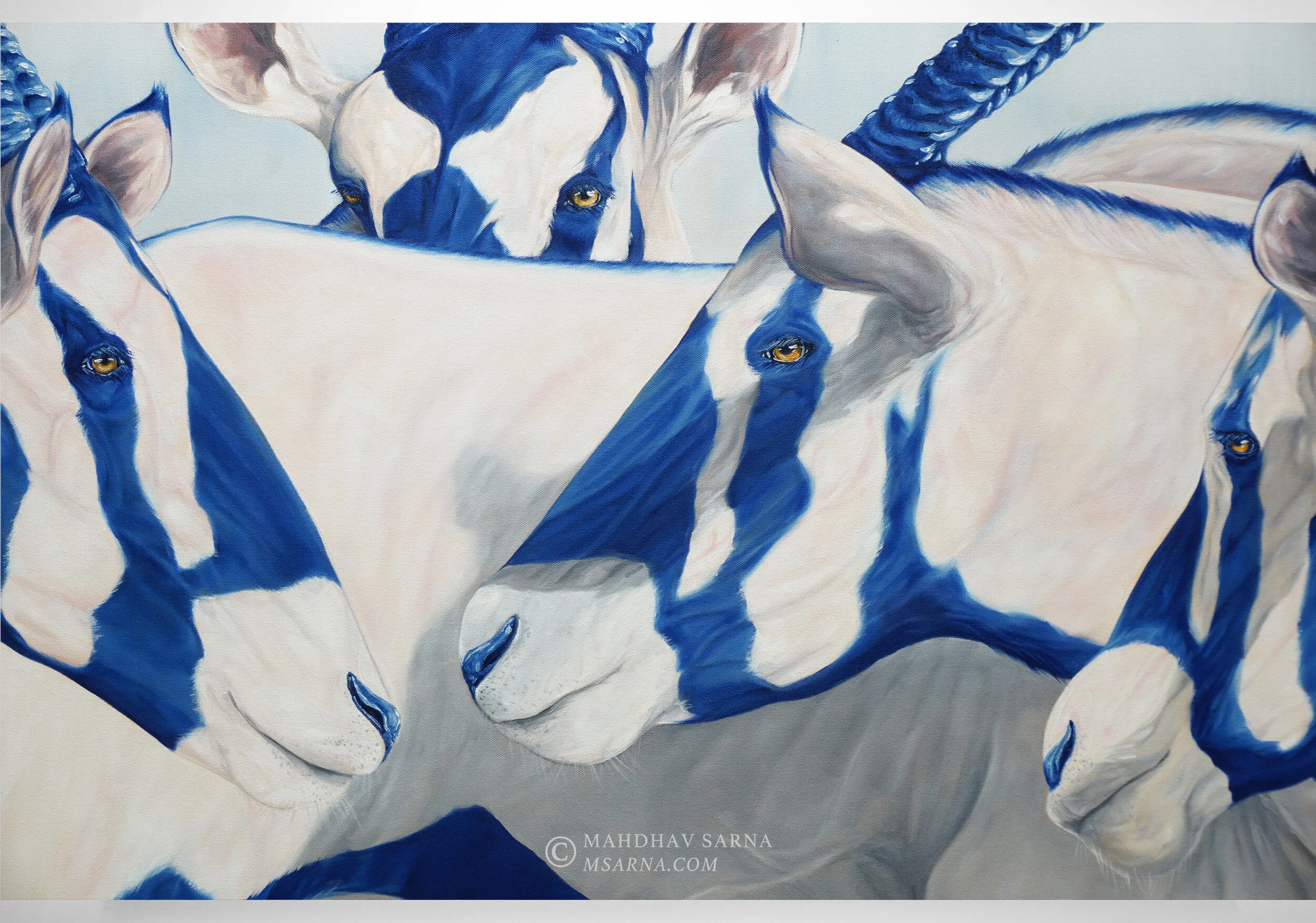 gemsbok oil painting tmep wildlife art mahdhav sarna 02.jpg