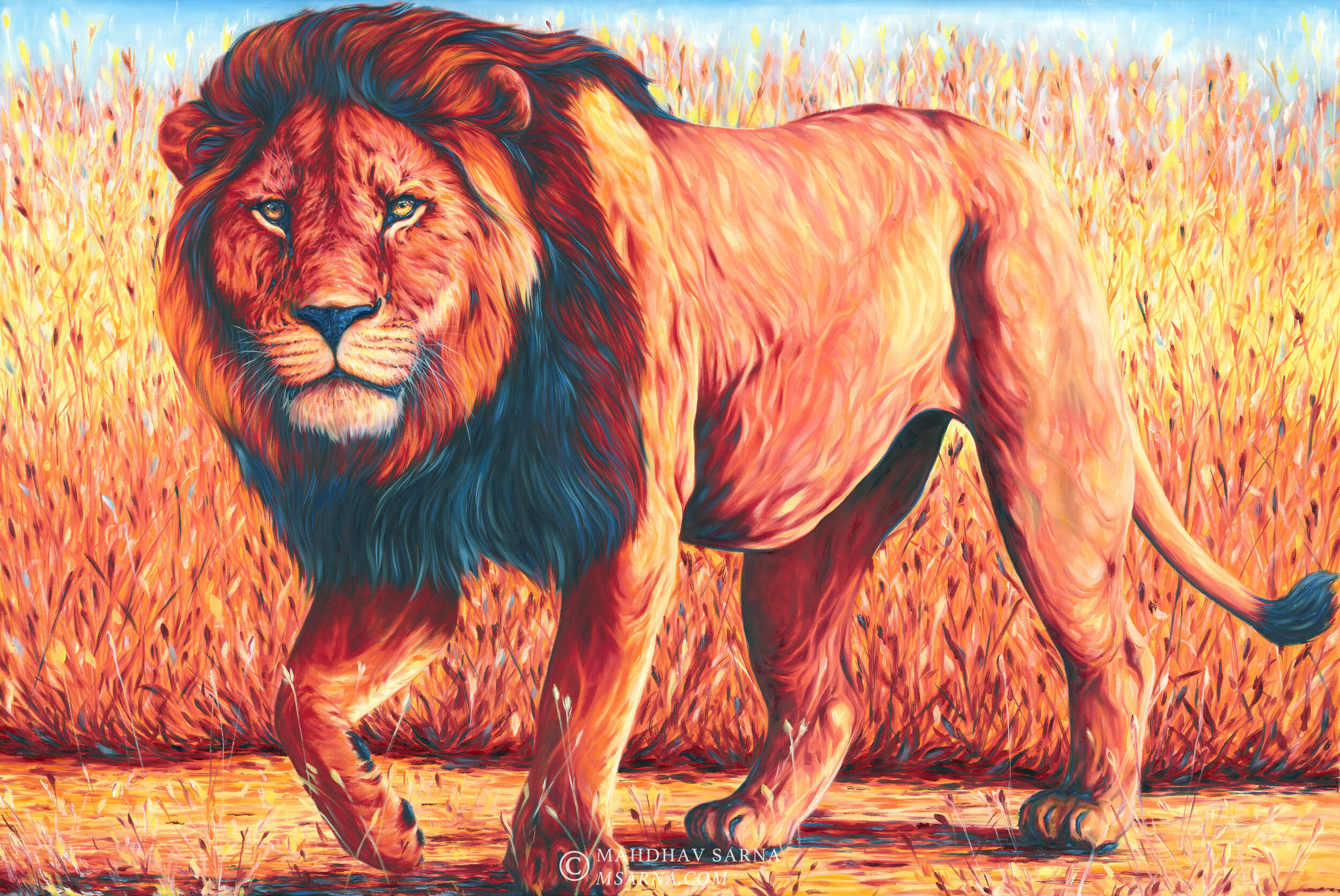 male lion oil painting inyt wildlife art mahdhav sarna 01.jpg