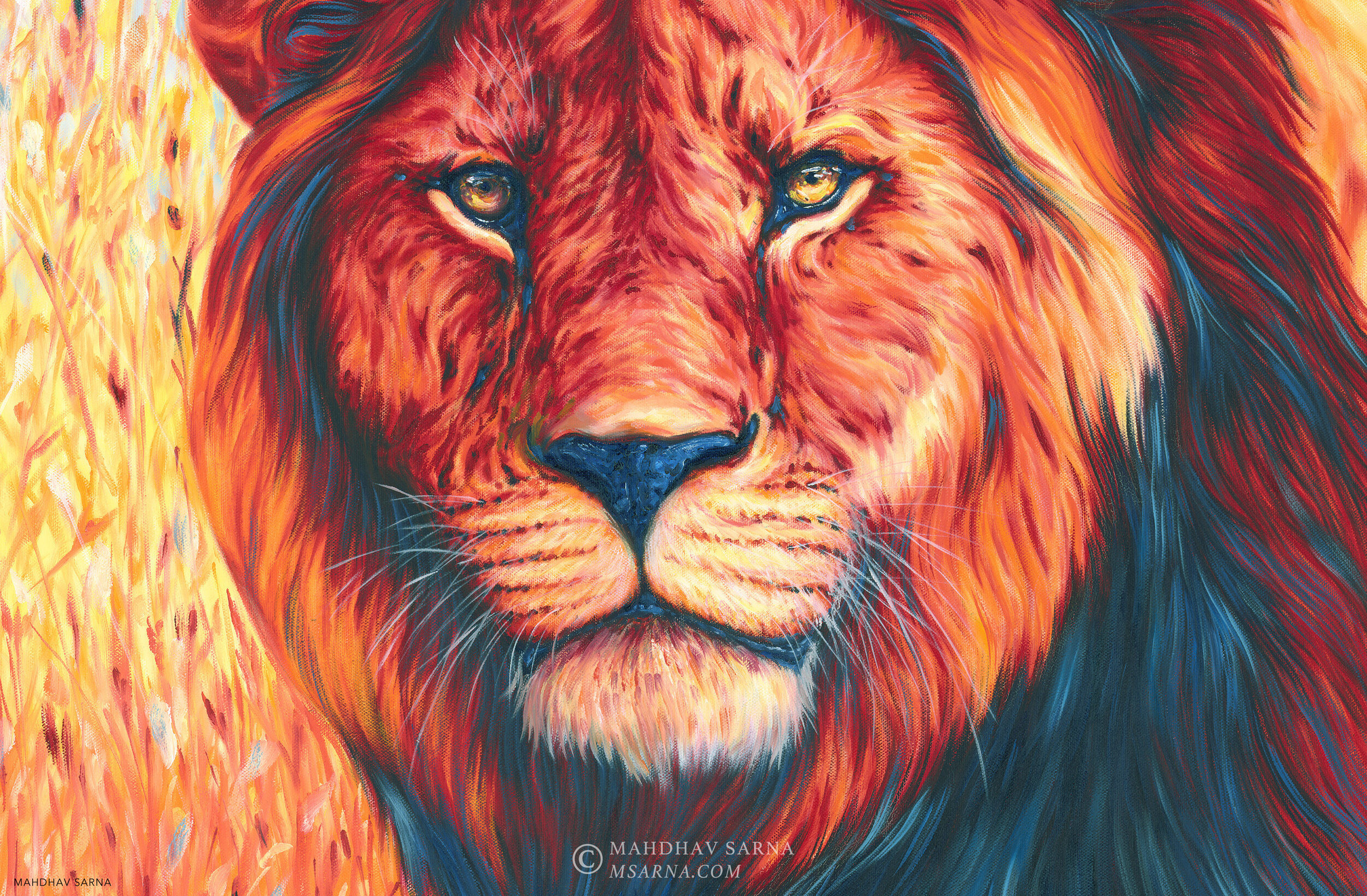 male lion oil painting inyt wildlife art mahdhav sarna 02.jpg