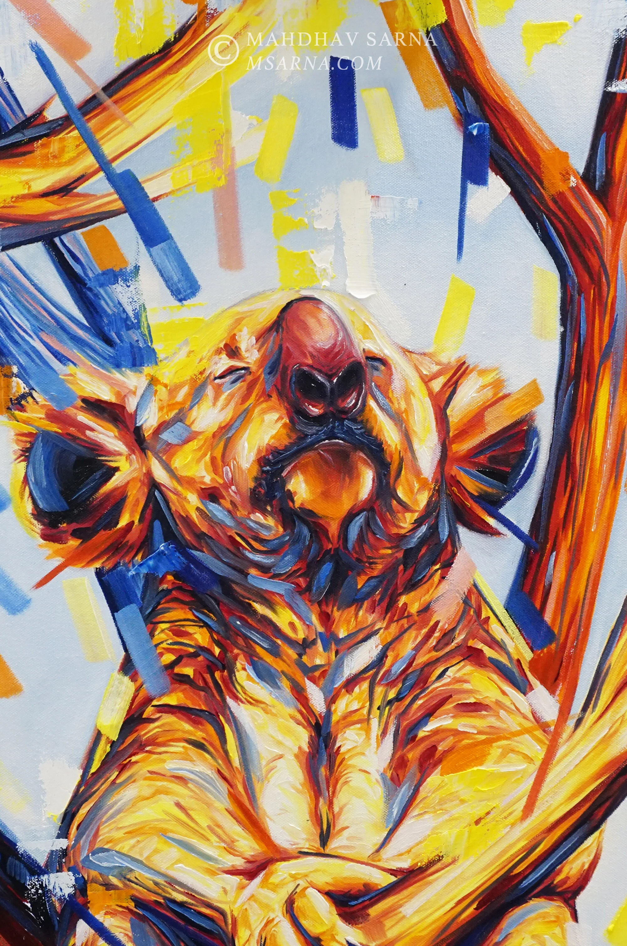 koala oil painting ayey wildlife art mahdhav sarna 02.jpg