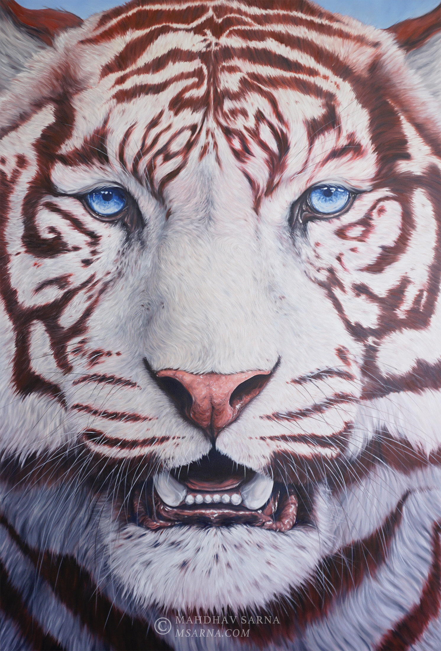 white tiger oil painting capv wildlife art mahdhav sarna 01.jpg