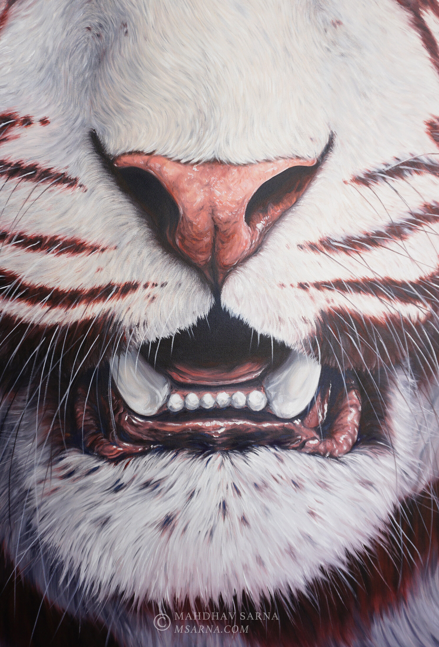 white tiger oil painting capv wildlife art mahdhav sarna 03.jpg