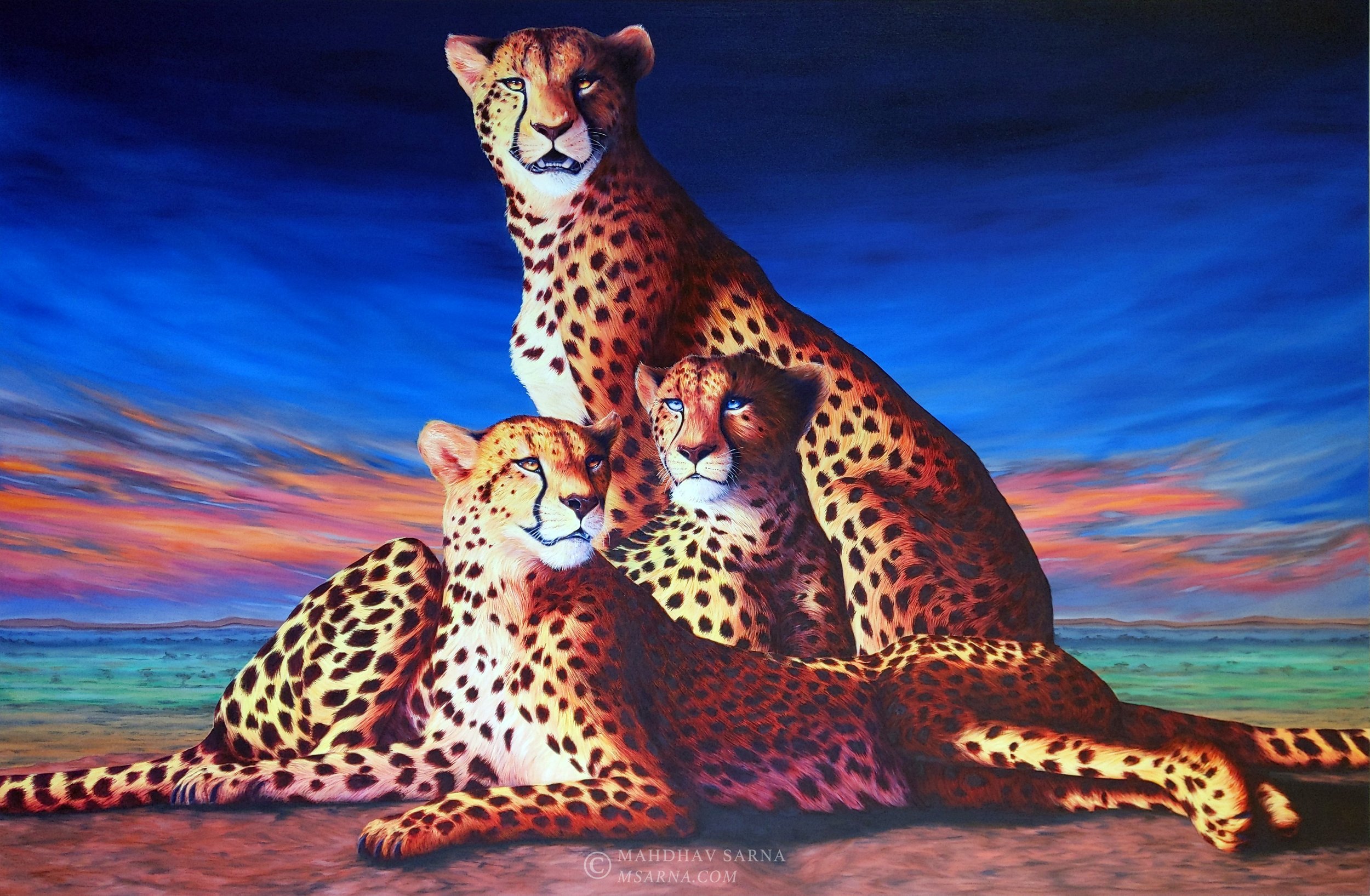 cheetah oil painting sssu wildlife art mahdhav sarna 01.jpg
