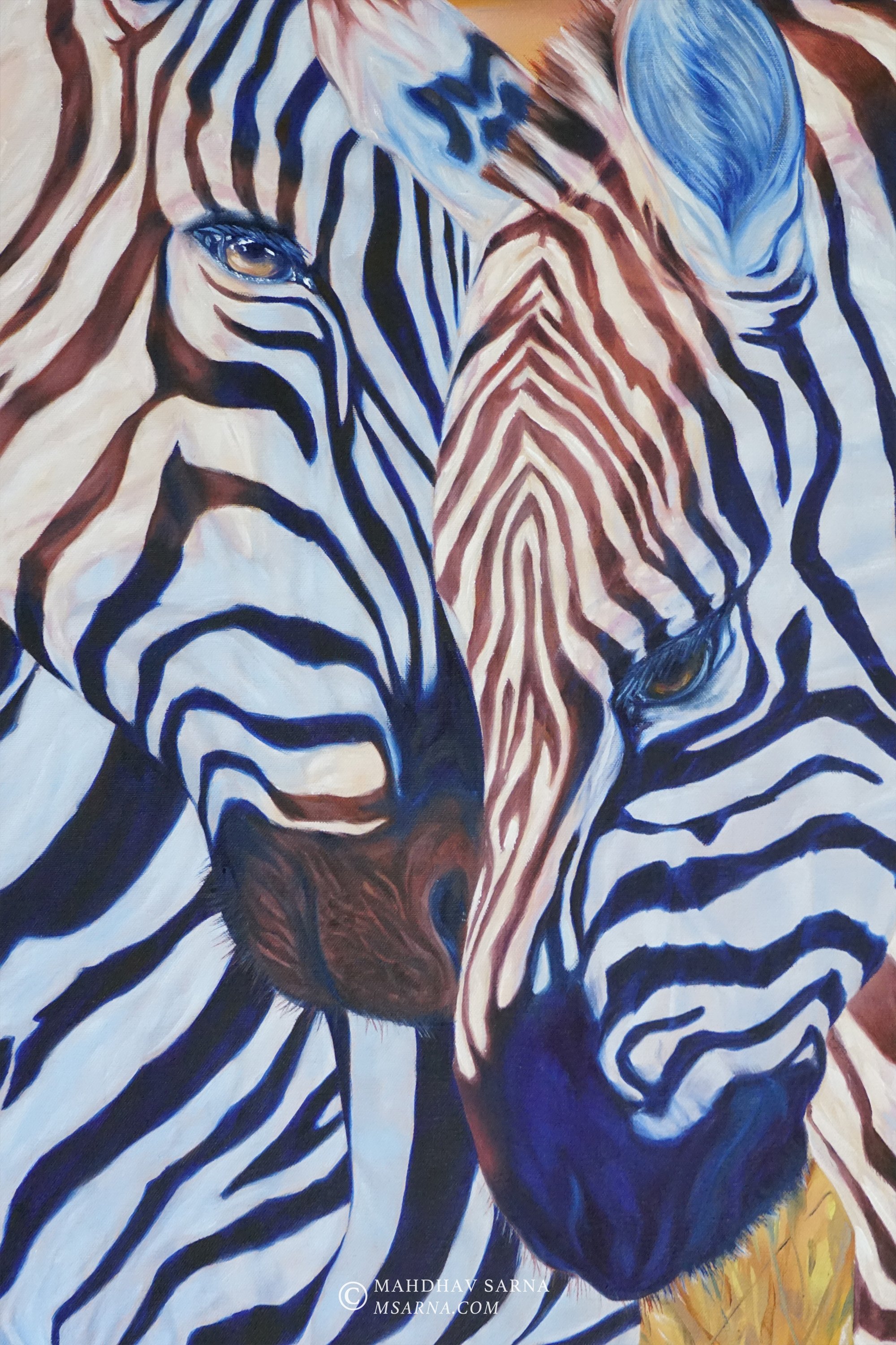 zebra oil painting aday wildlife art mahdhav sarna 02.jpg
