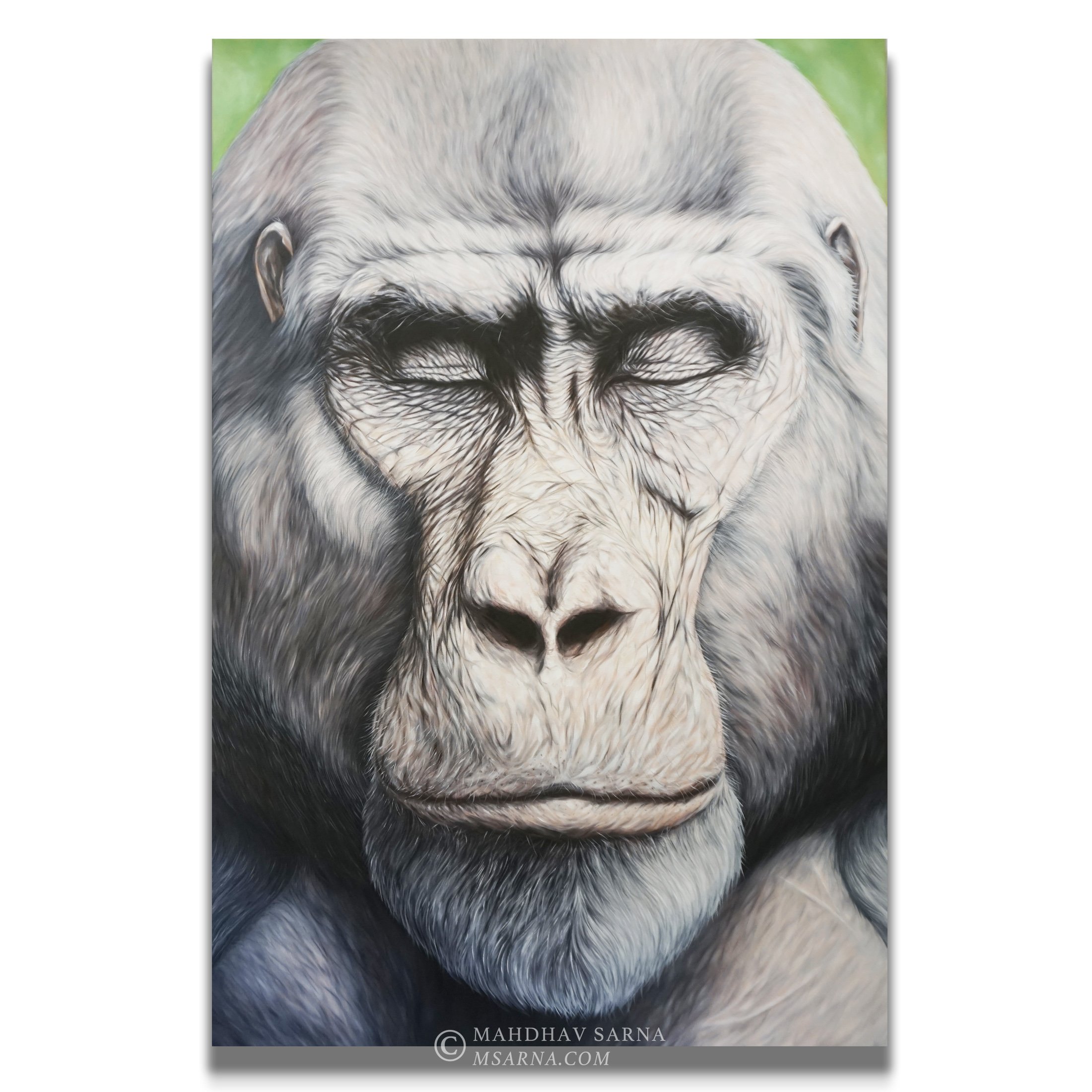 gorilla oil painting ists wildlife art mahdhav sarna 01.jpg