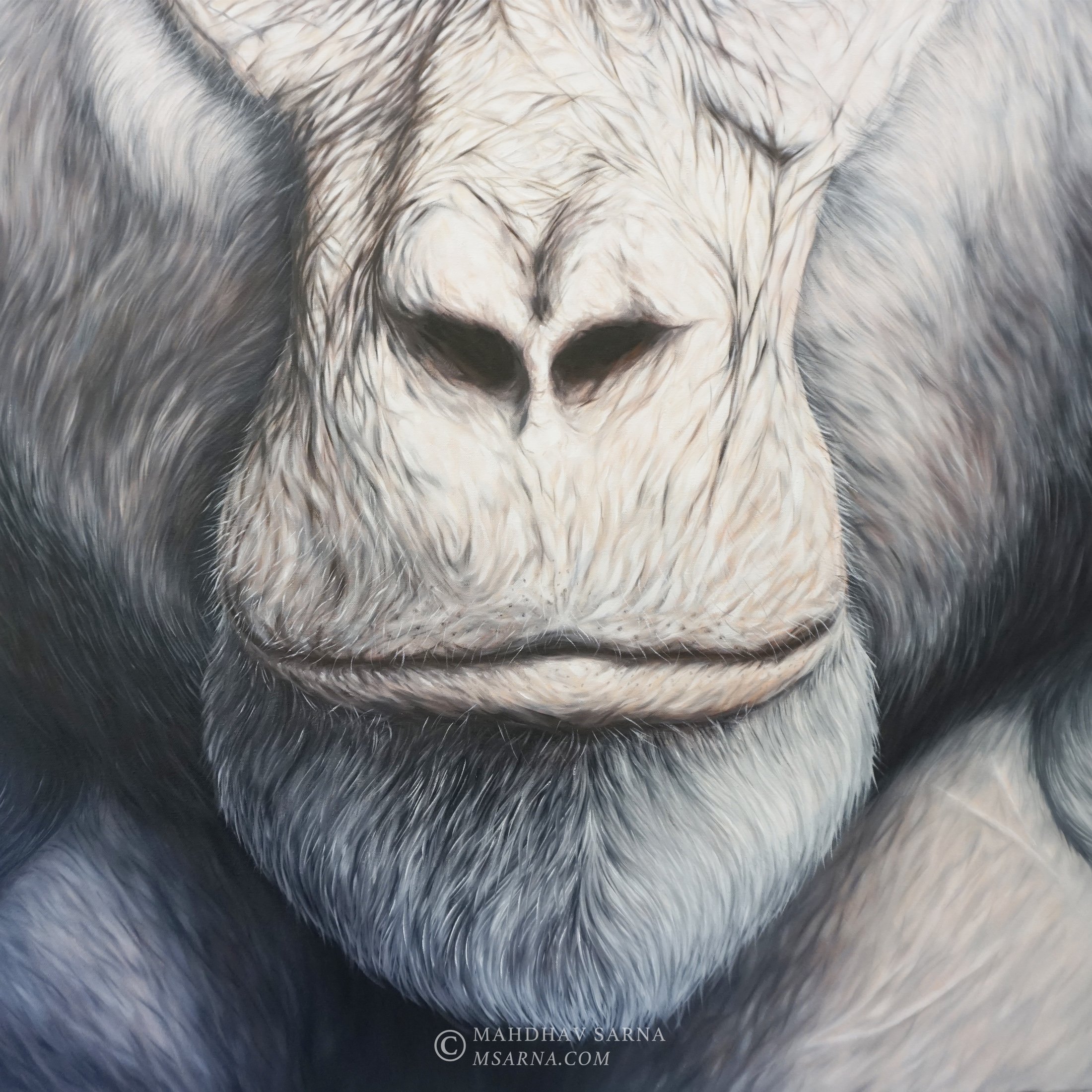 gorilla oil painting ists wildlife art mahdhav sarna 03.jpg